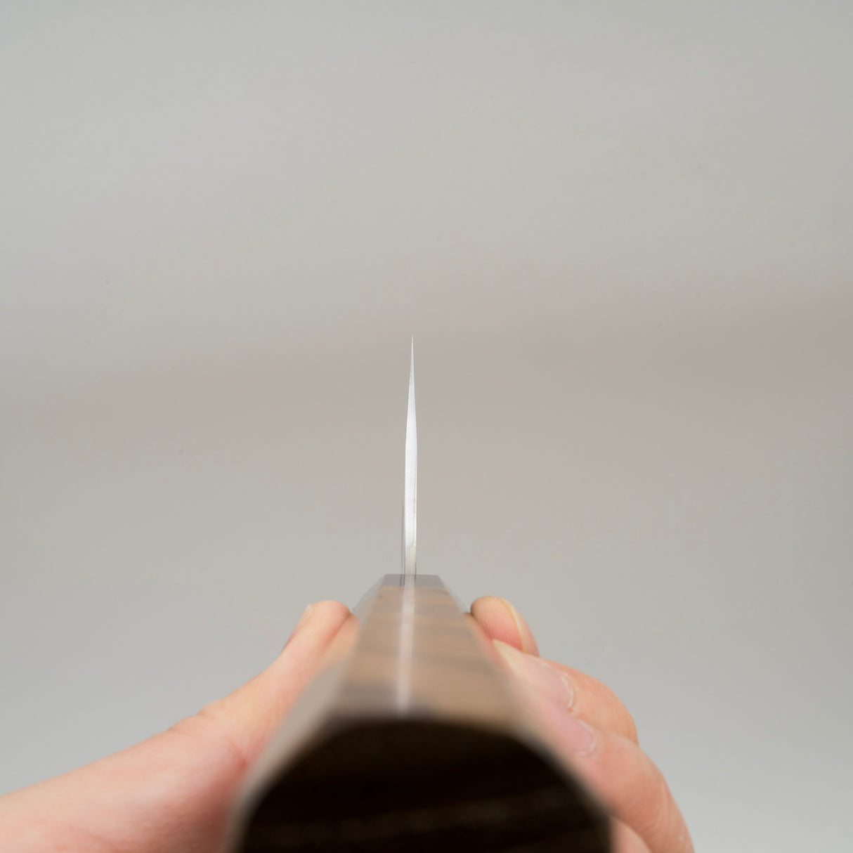 黑崎壁虎 VG XEOS Gyuto 270mm