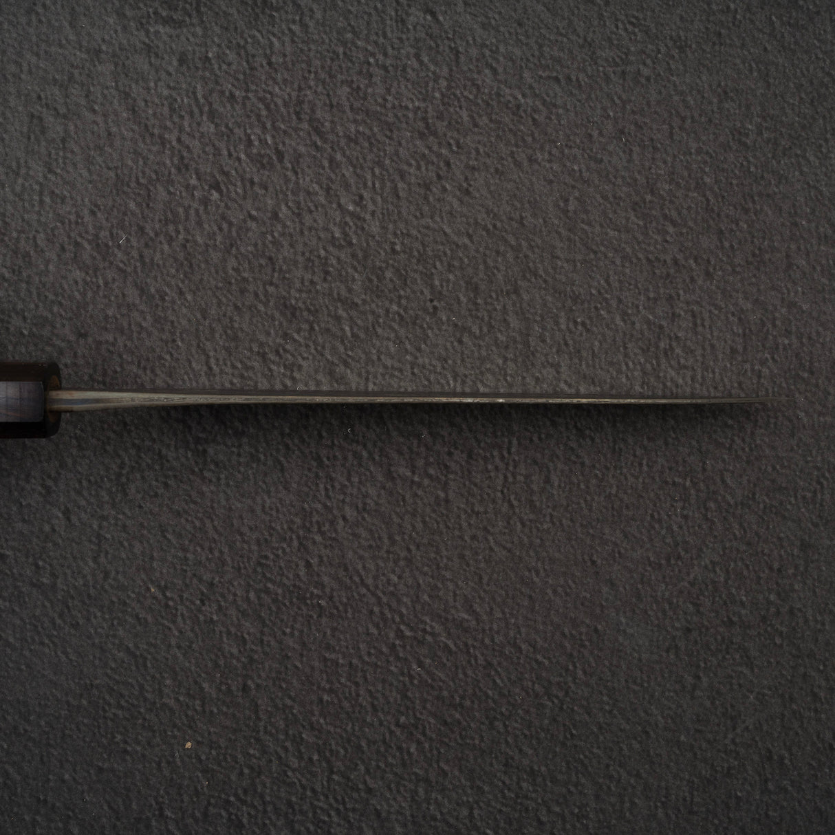 青神安龍 超級土目黑內牛斗 180mm