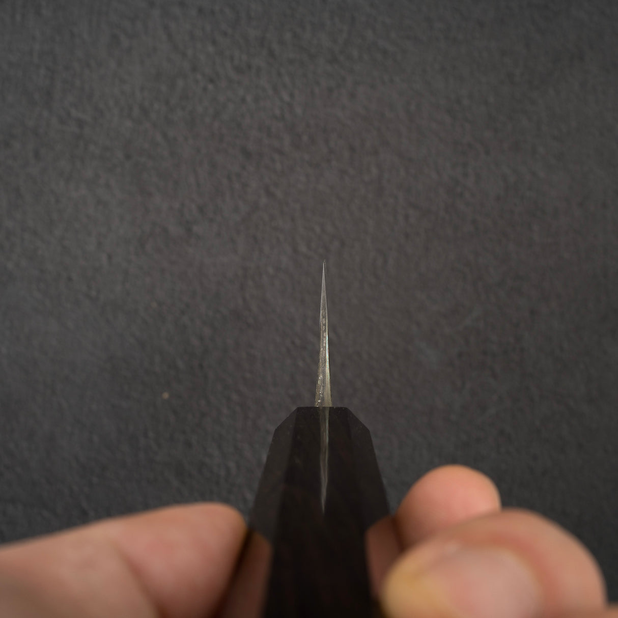 青神安龍 超級土目黑內牛斗 180mm