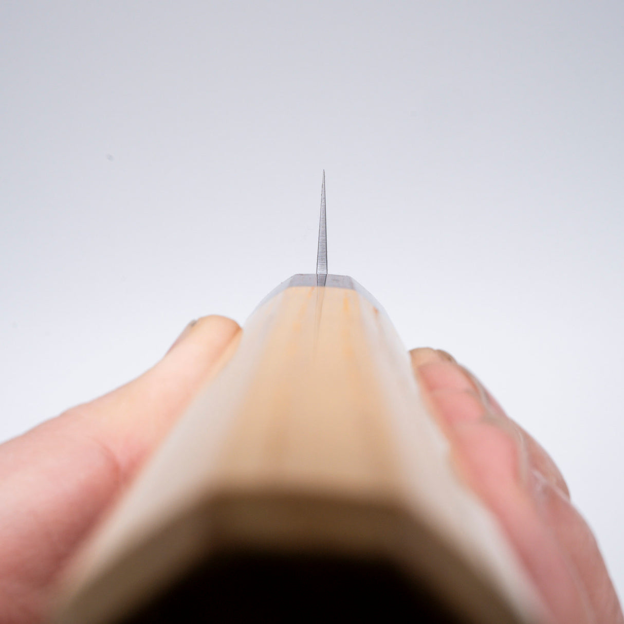 Sakai Takayuki VG10 Sujihiki 240mm (9.4") 33 層錘擊大馬士革 WA 手柄