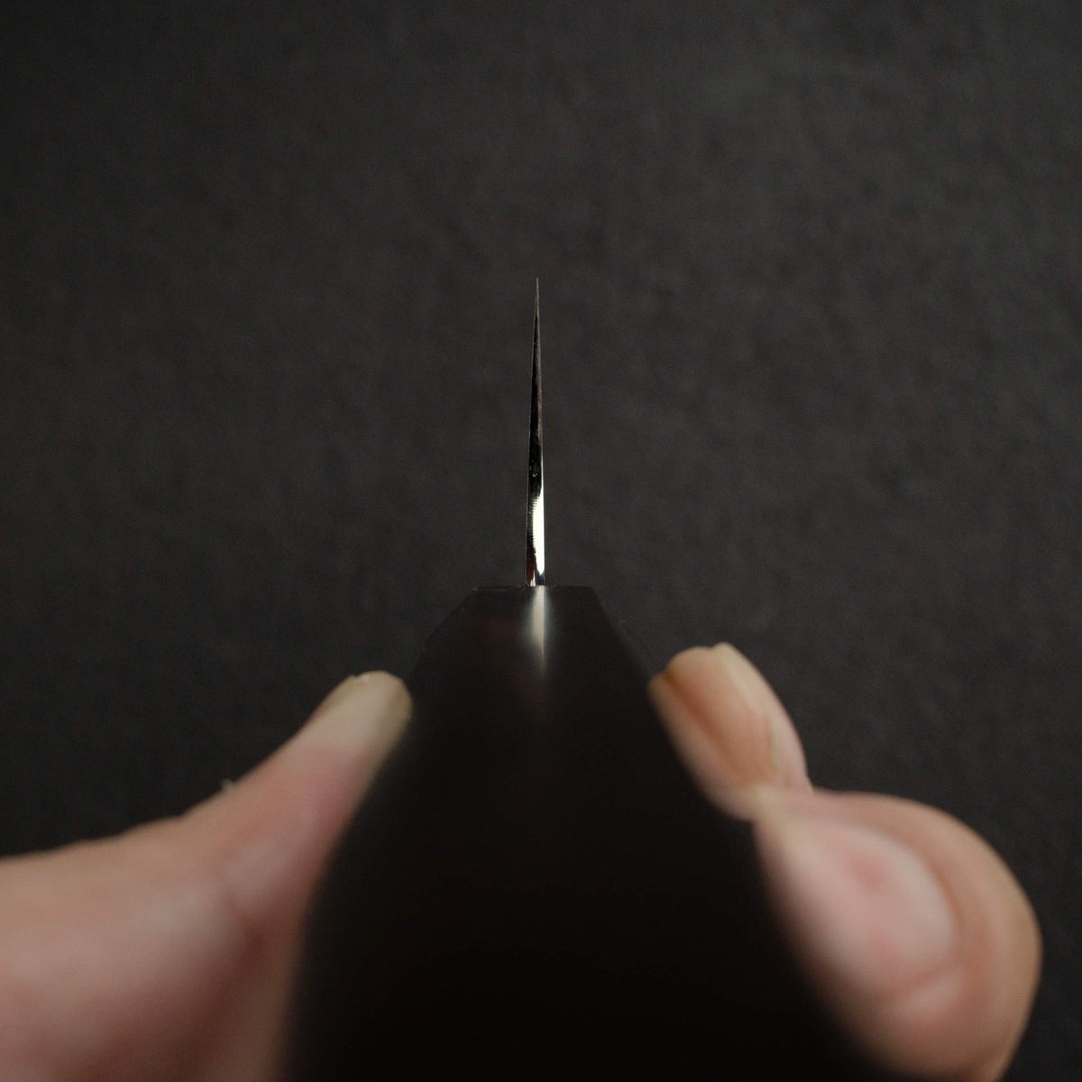 Kei Kobayashi SG2 Migaki Gyuto 210mm, Ebony Handle