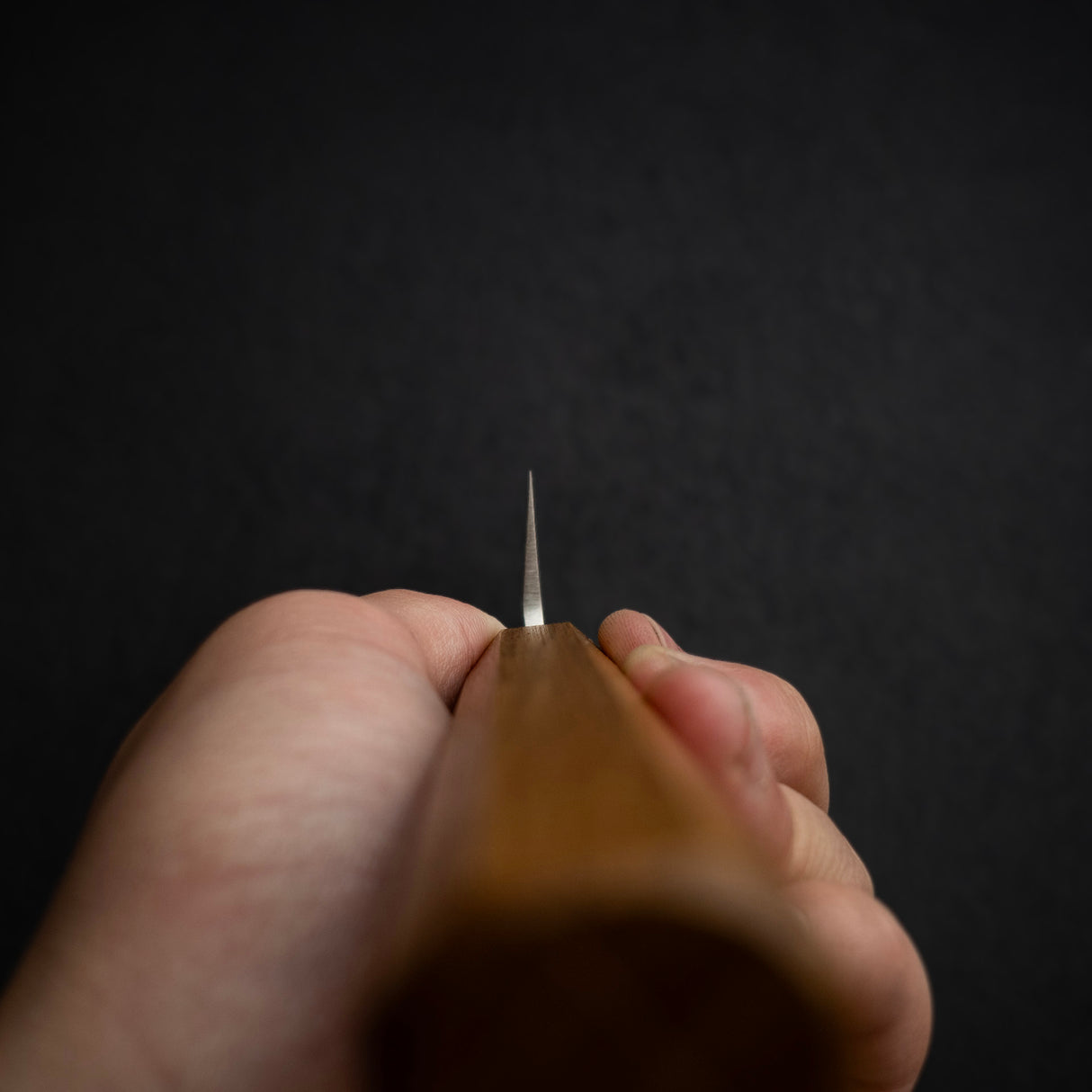 Tsunehisa AUS8 柳刃 300mm 單鋼 樫木握柄