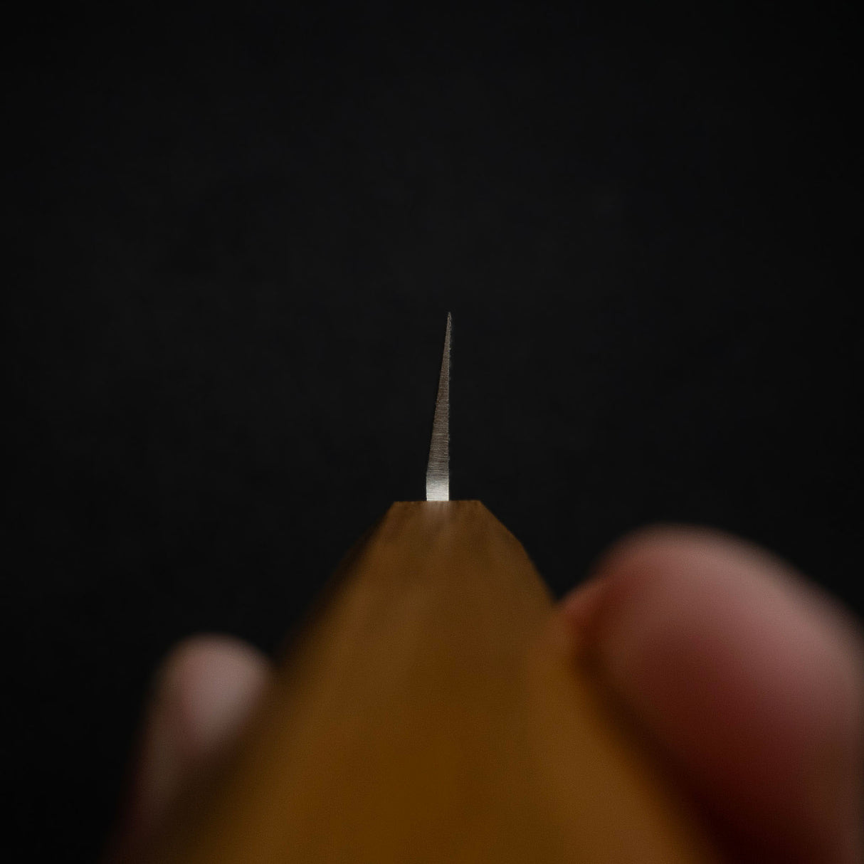 Tsunehisa AUS8 柳刃 300mm 單鋼 樫木握柄