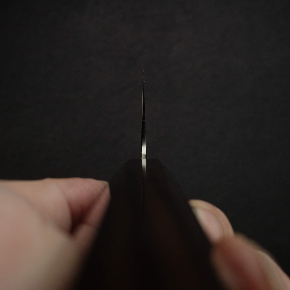 Tetsujin Ginsan Ukiba K-tip Gyuto 240mm Ebony Handle