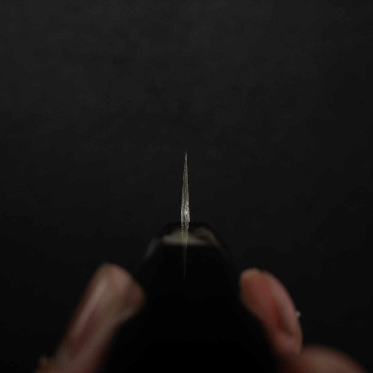 Takeshi Saji SG2 Black Damascus Petty 135mm