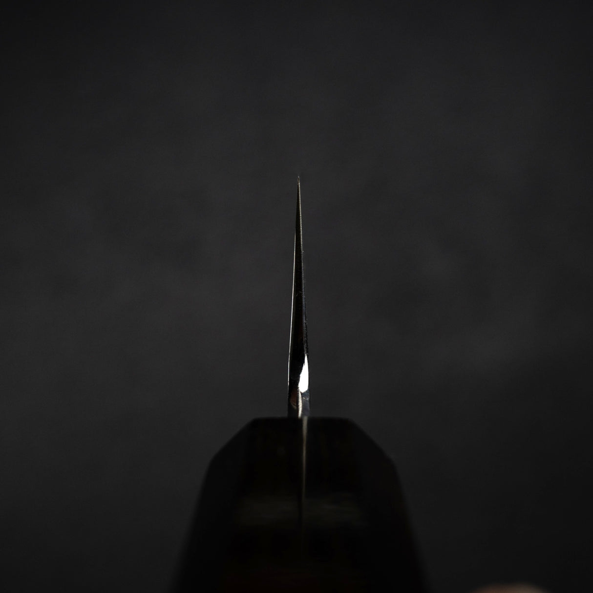 Nakagawa Ginsan Wide Bevel Kasumi K-tip Gyuto 210mm Ebony Handle