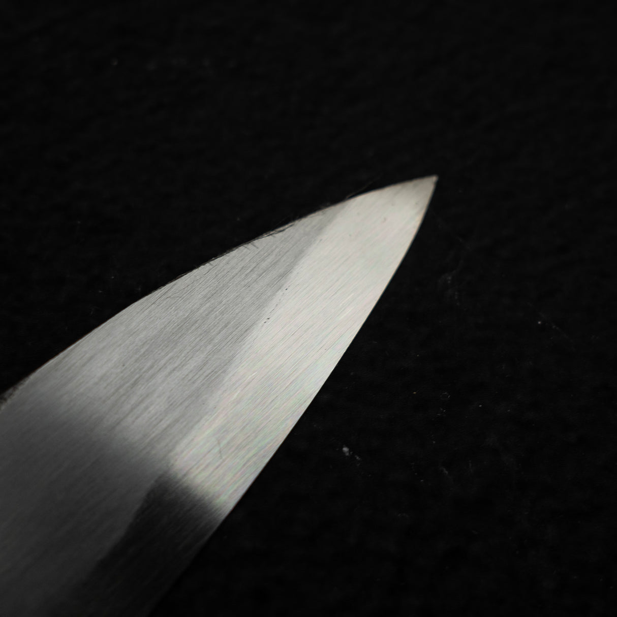 初心 x 直人作 白鷺 Blue 2 黑打柳刃 300mm