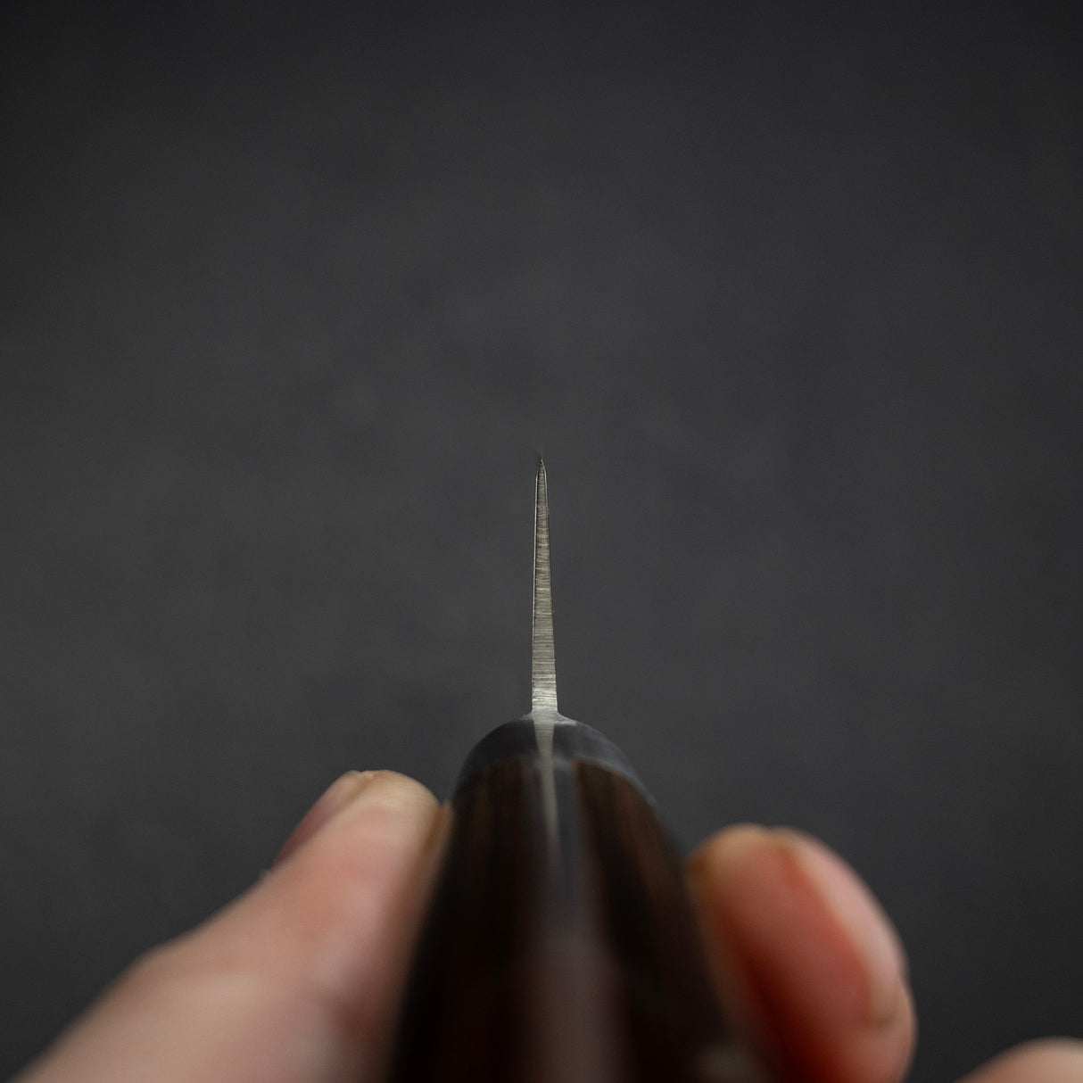 堺孝行 Aoniko Blue 2 單鋼 K-tip 柳刃 240mm