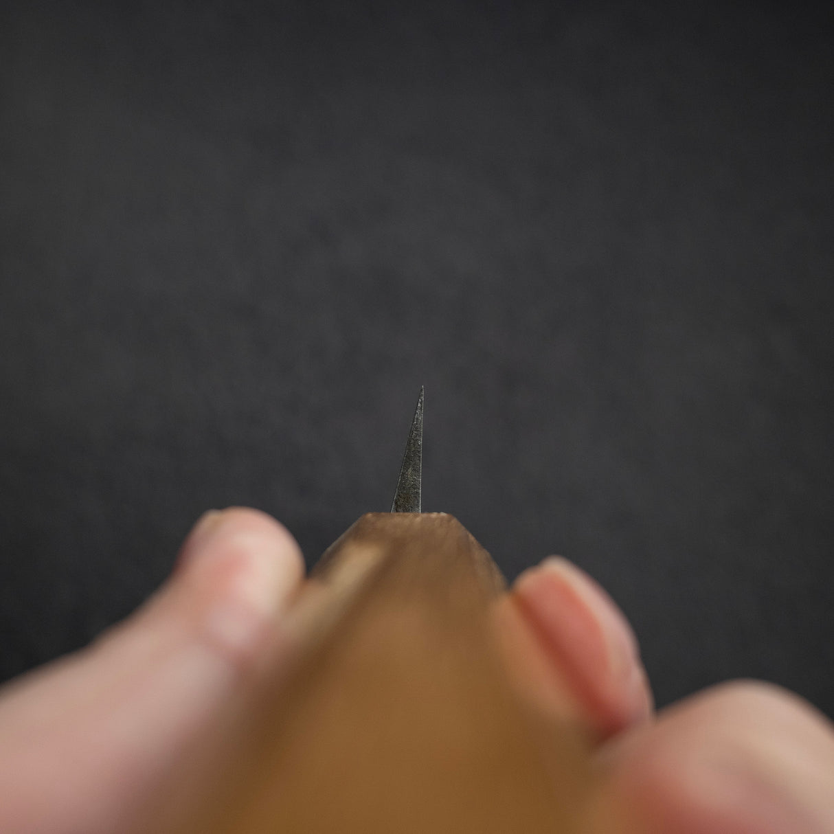 Tosa Bokashi SK Steel Yanagiba 270mm