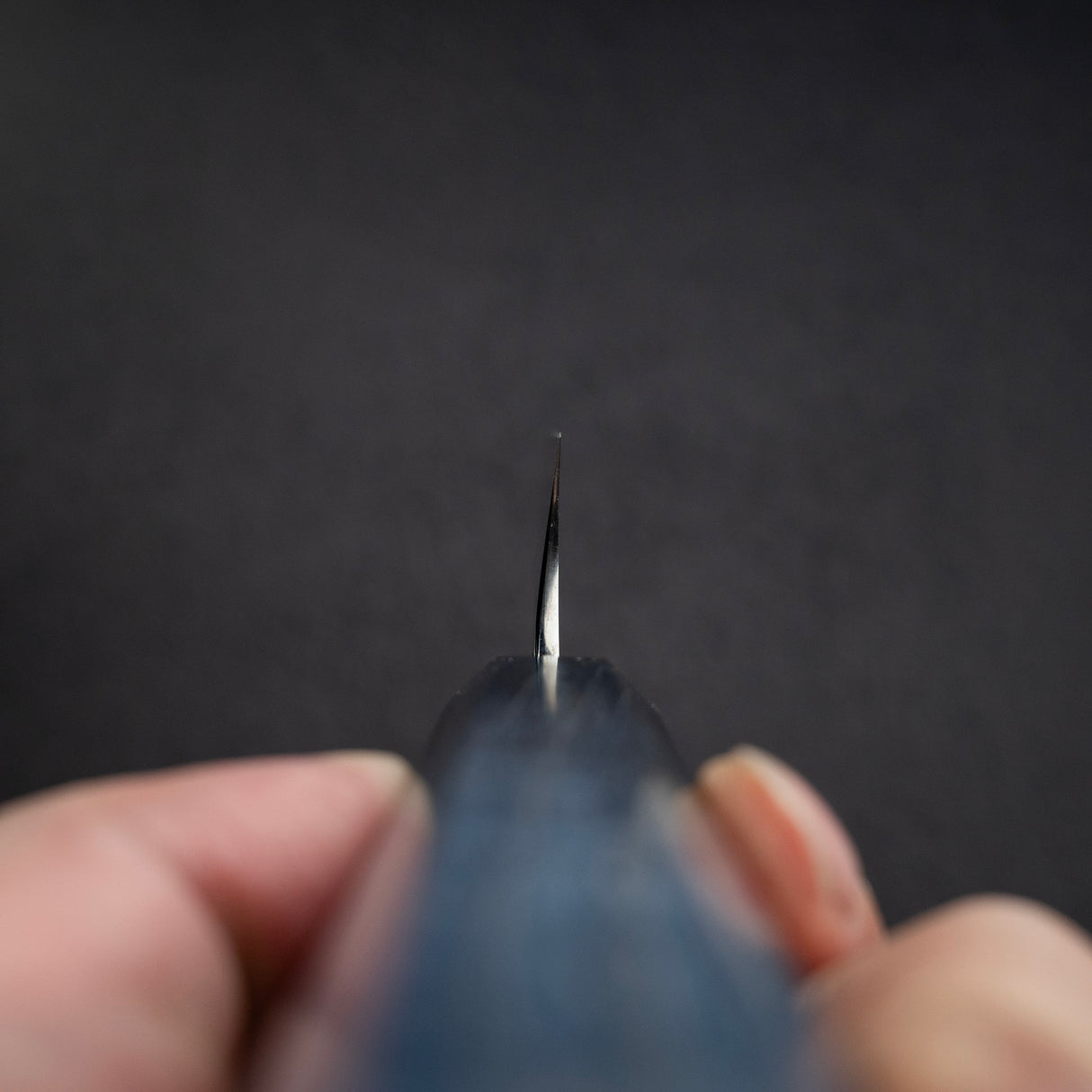 初心 x 弥氏良寬 青鋼二號 大馬士革 切付 柳刃 270mm 庫存品