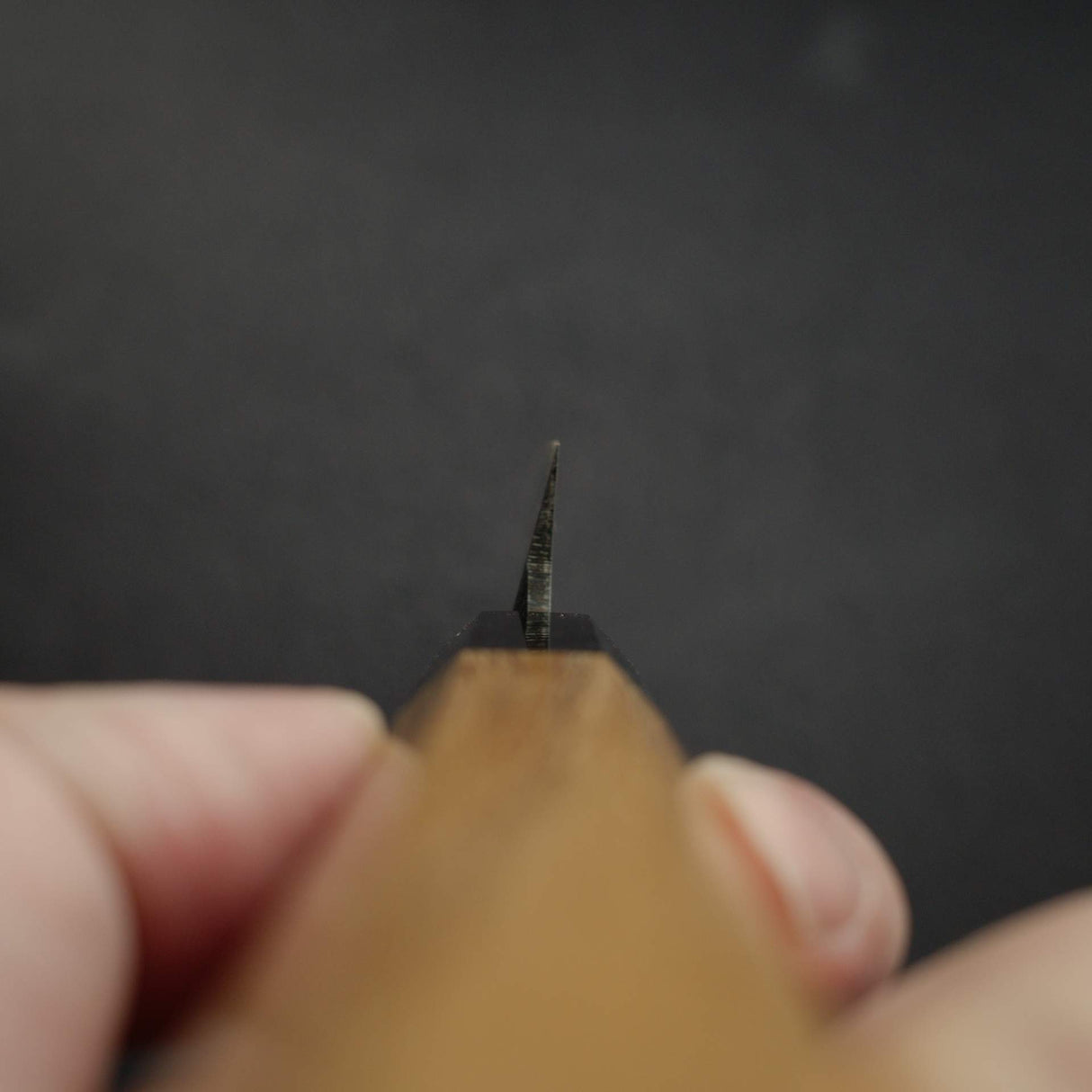 初心 x 明神利器 青鋼二號 黑打 先丸 柳刃 270mm