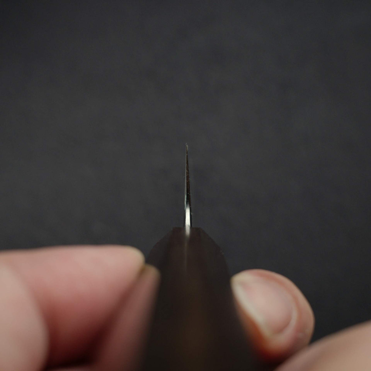 Tetsujin Ginsan Kasumi K tip Petty 165mm Ebony Handle