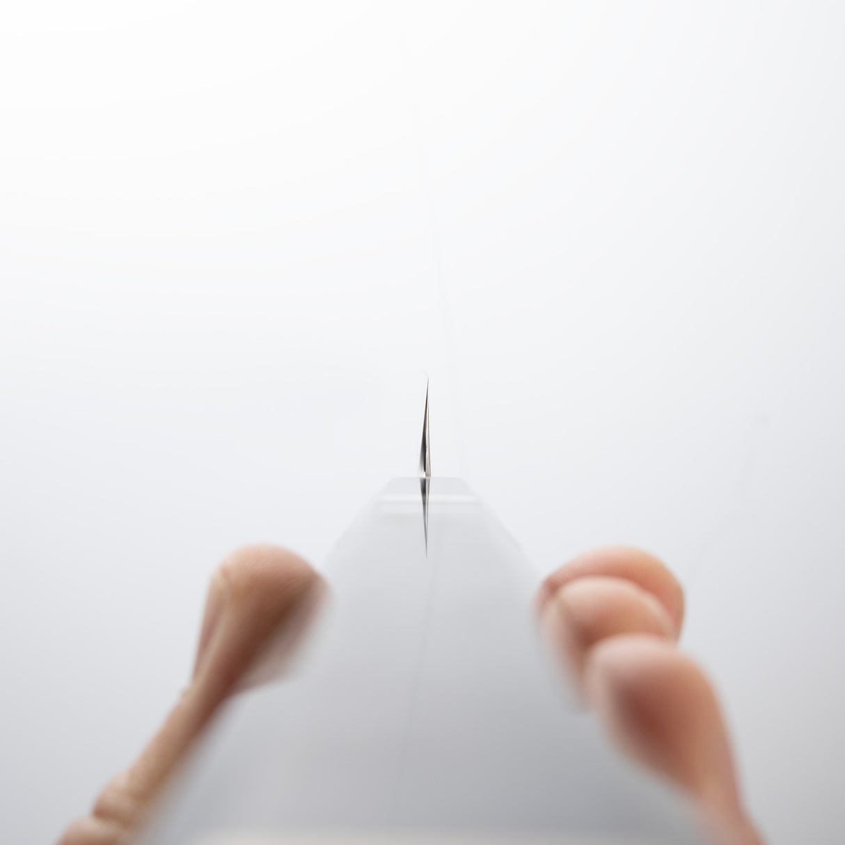 珍品:玄海正國水本燒河豚引300毫米