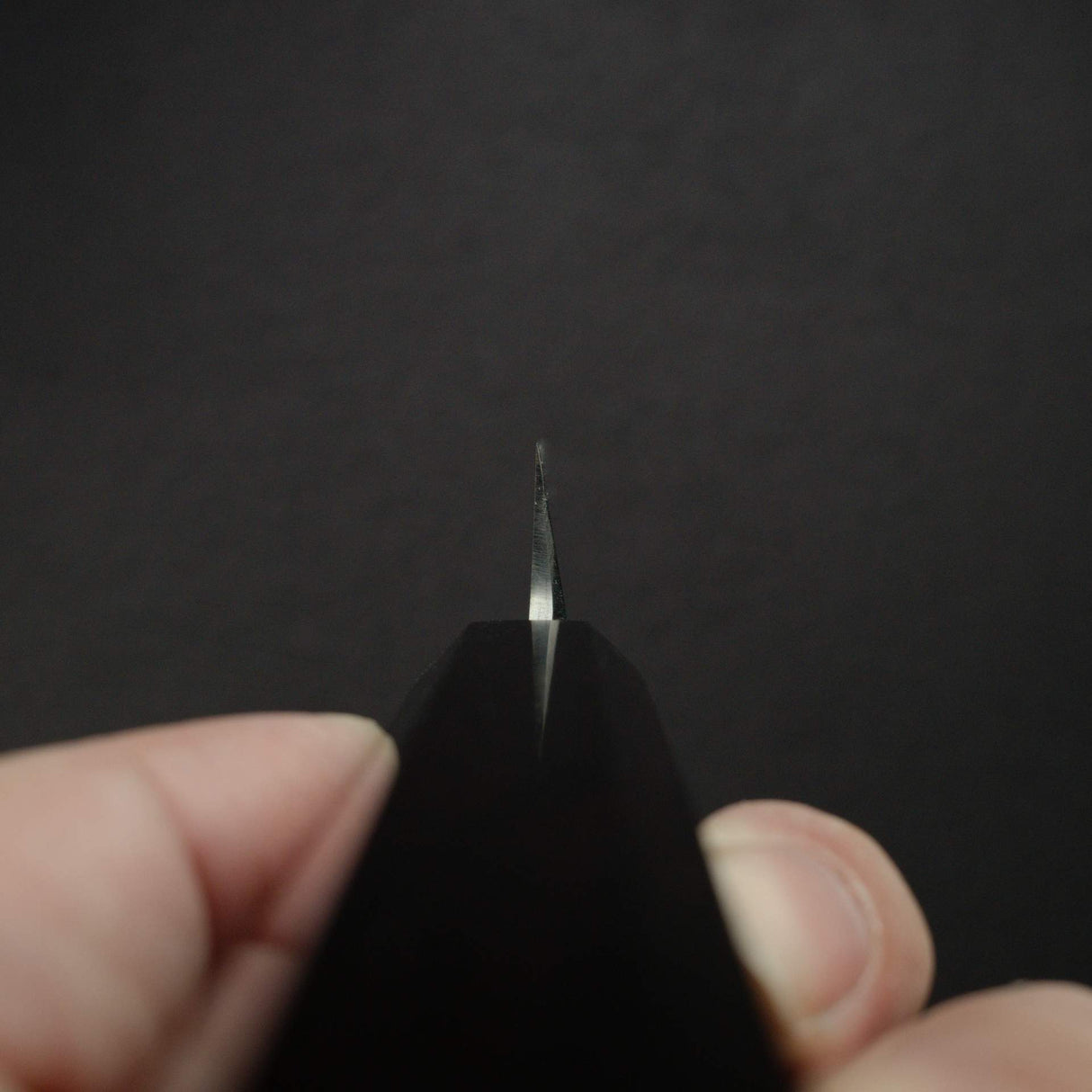 初心 x 明神 白鷺 白鋼二號 左手用 柳刃 210mm