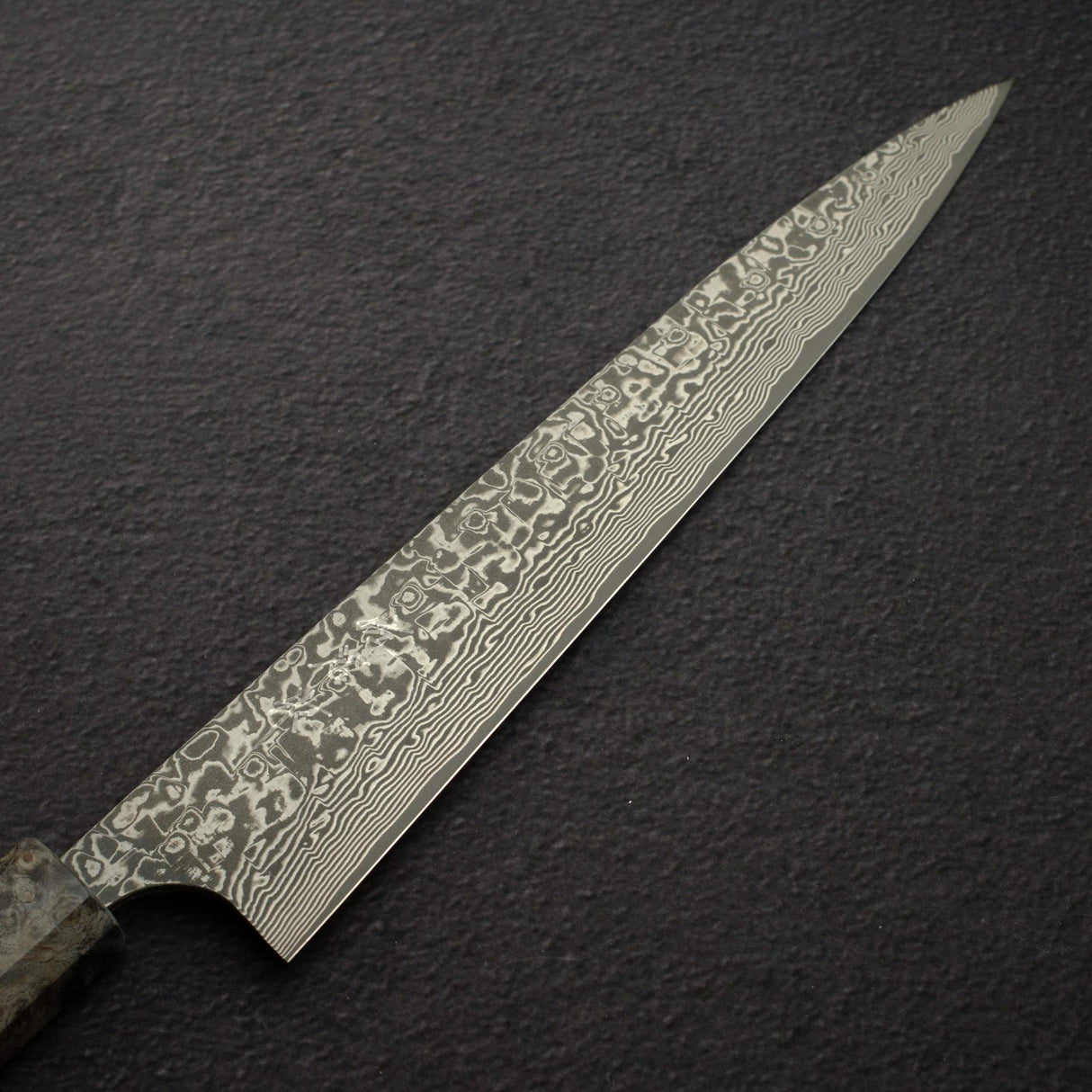 佐治武士 SG2 黑大馬士革 筋引 240mm 樺木柄