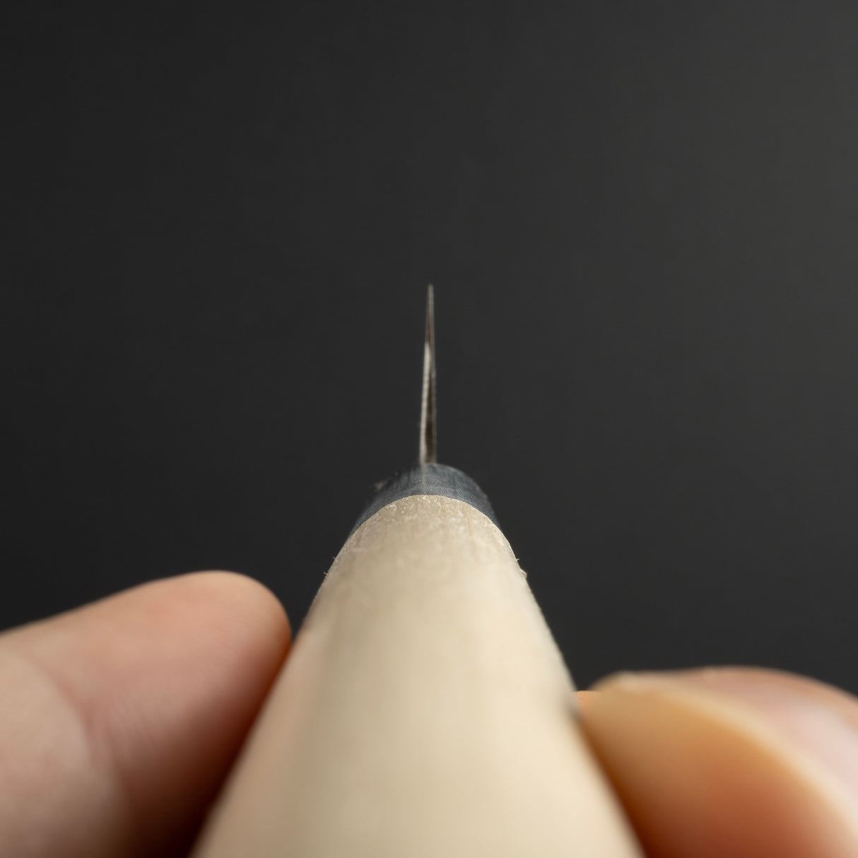 Sakai Takayuki INOX Sujihiki 240mm WA Handle