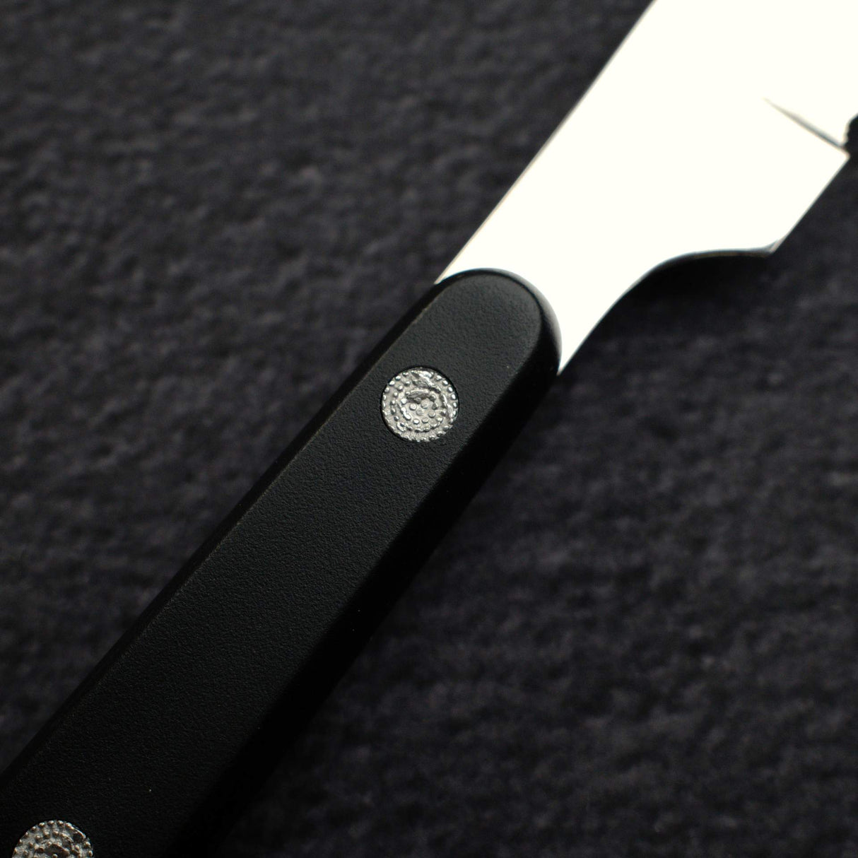 Seki Sekikanetsugu Stainless Steel Steak Knife