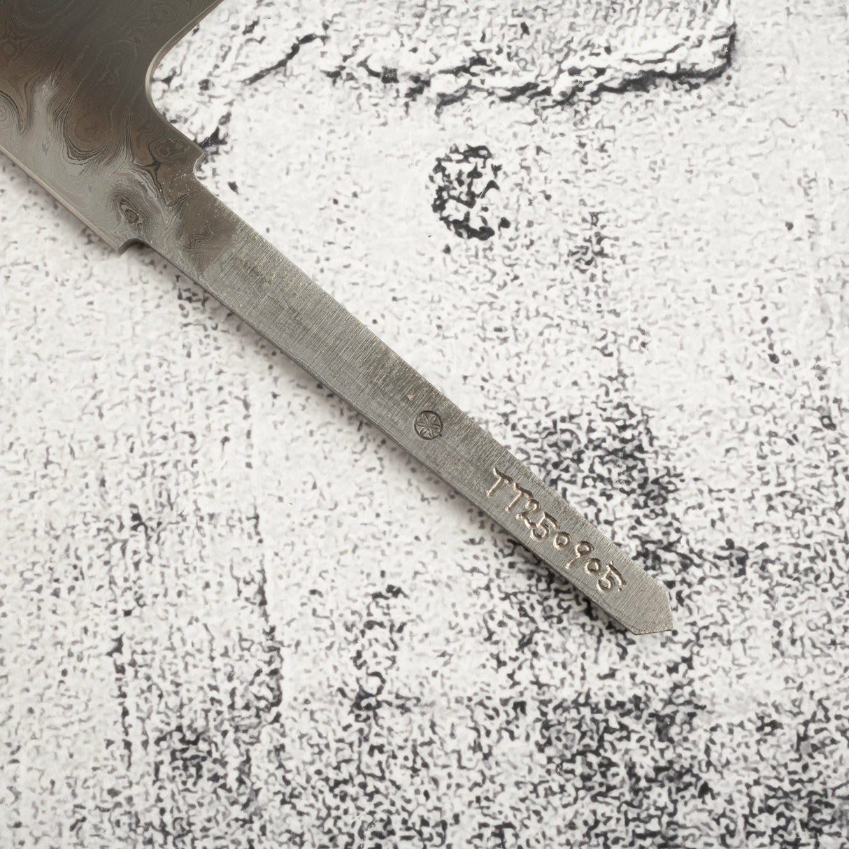 Exotic: Shoichi Hashimoto (橋本庄市) Chihaya (ちはやふる・千早) Blue / White Coreless Gyuto 210mm