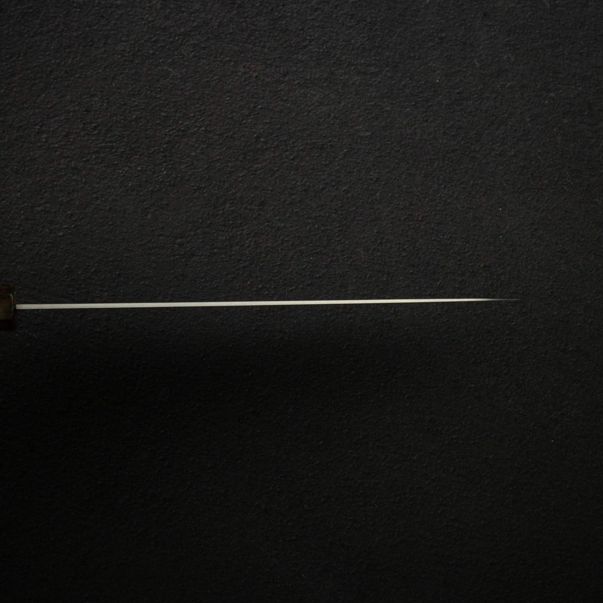 Hatsukokoro Hayabusa SG2 Migaki Gyuto 210mm
