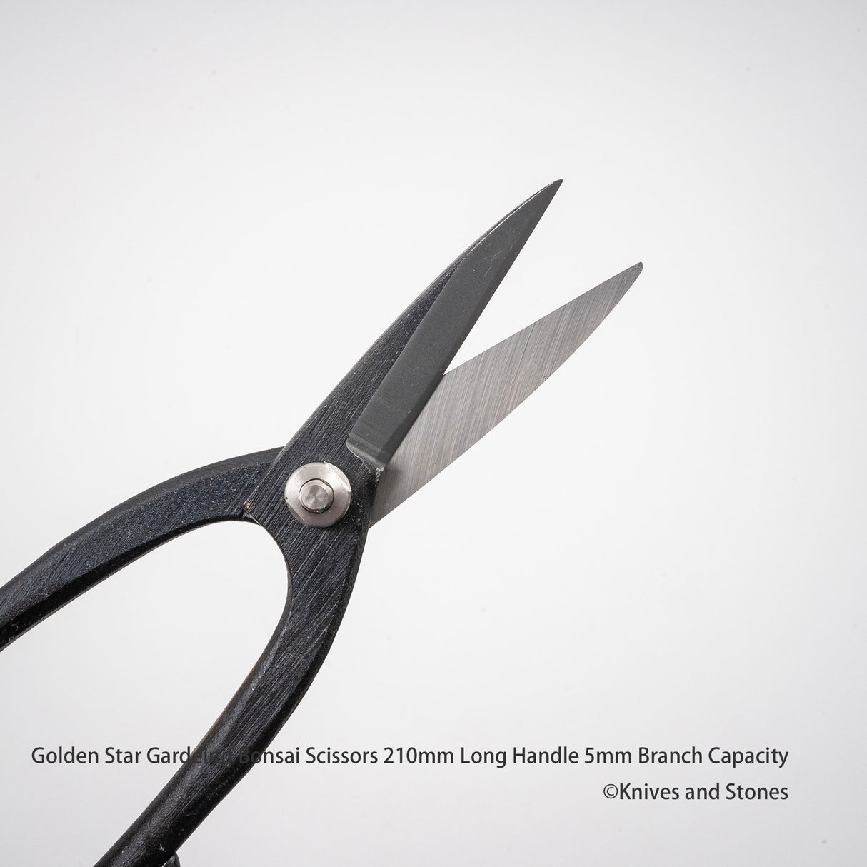 Kinboshi 的金星「蘆長」盆景剪刀