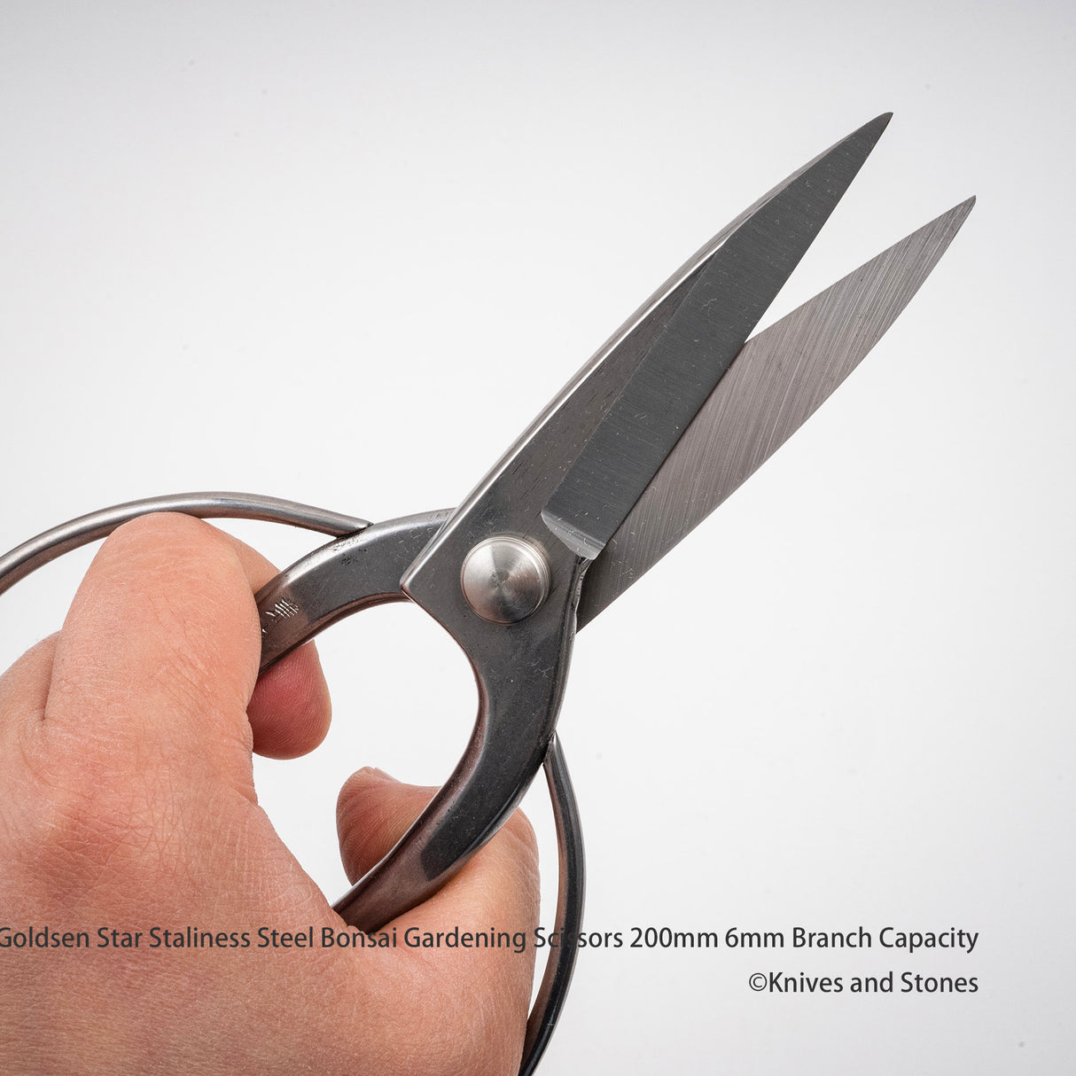 金星「Kanetsugu」不鏽鋼盆景剪刀(Kinboshi 出品)