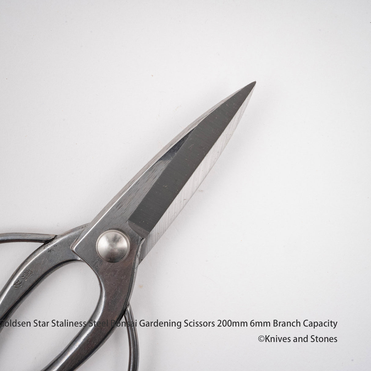 金星「Kanetsugu」不鏽鋼盆景剪刀(Kinboshi 出品)