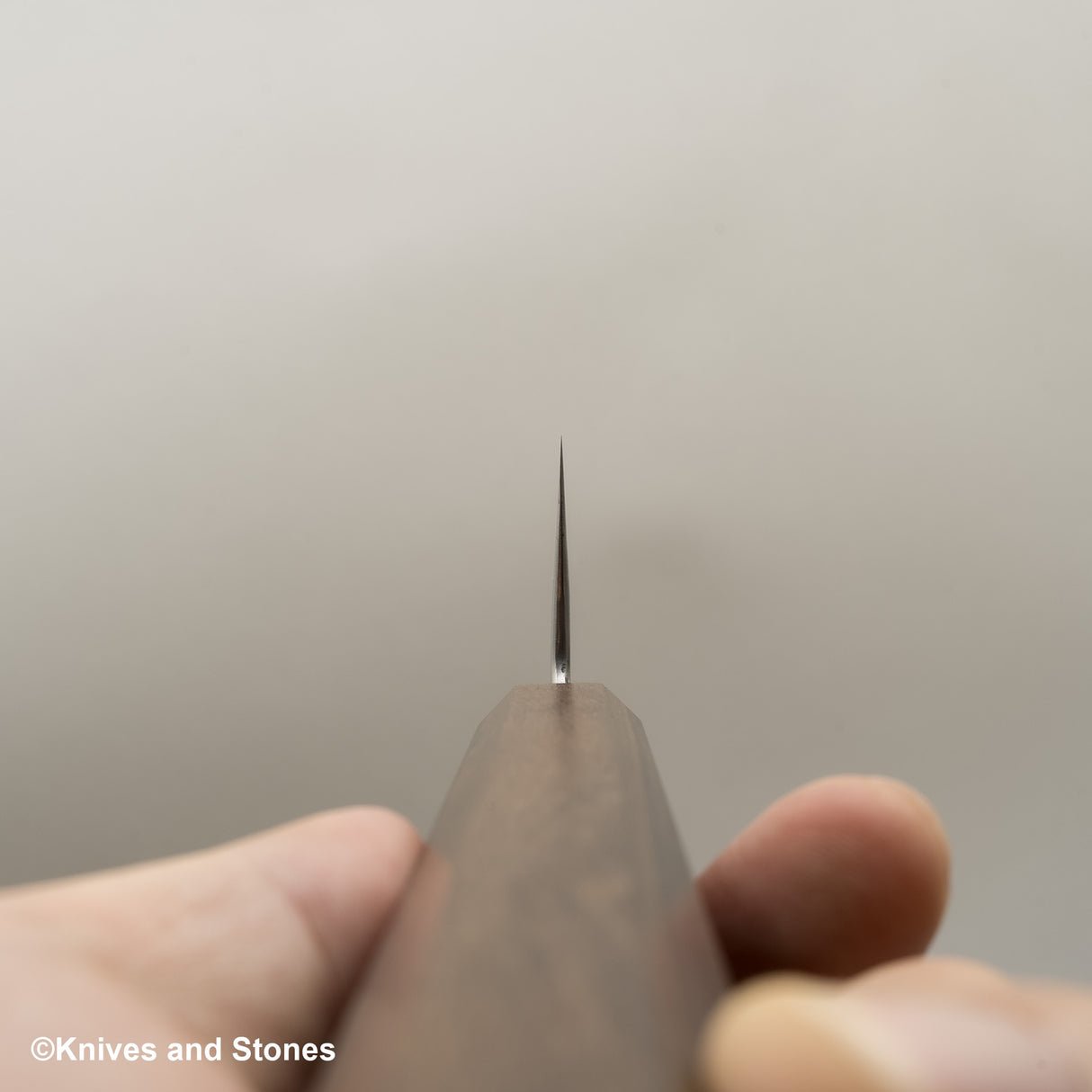 Hatsukokoro Ginso Ginsan Nickel Damascus Gyuto 210mm