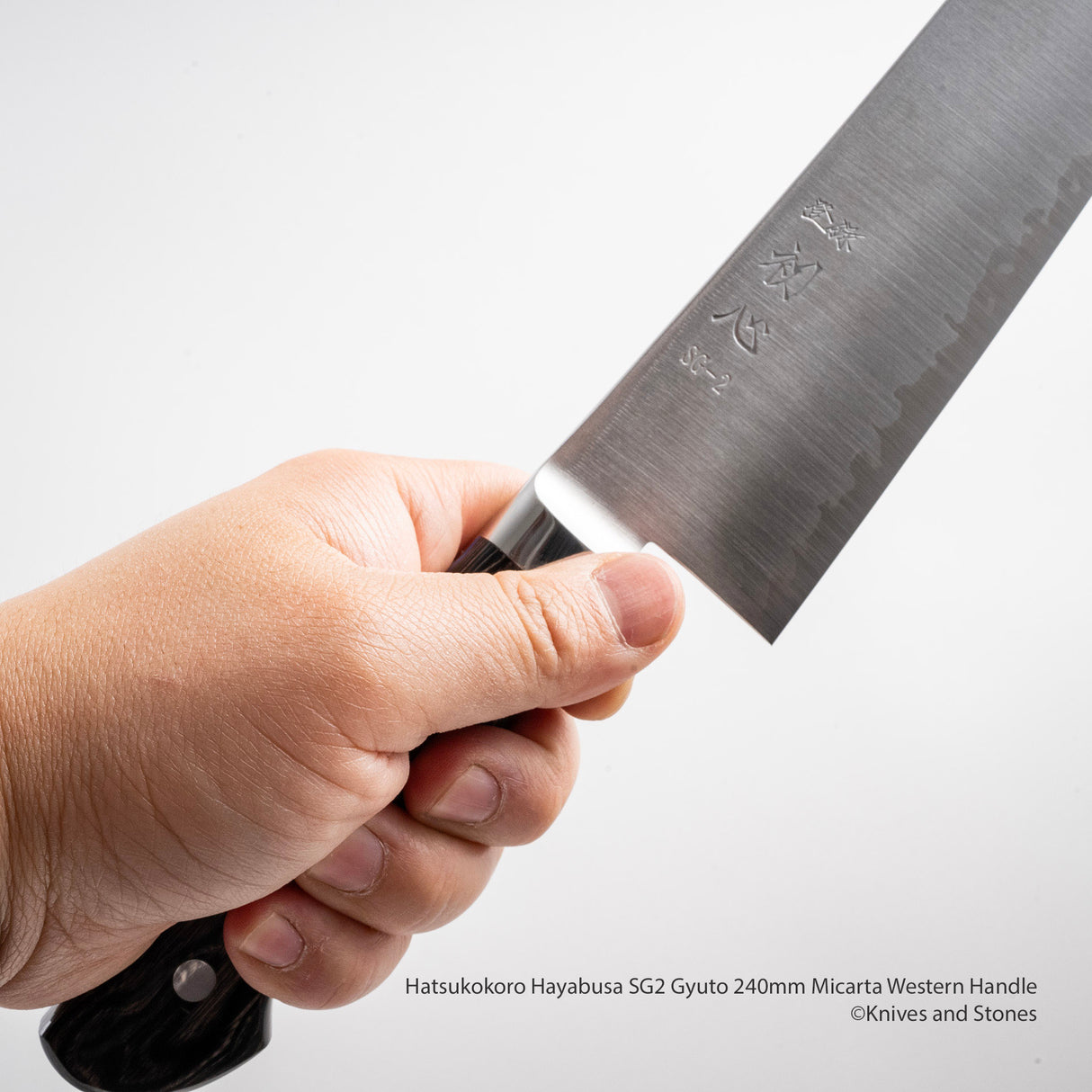 Hatsukokoro Hayabusa SG2 Gyuto 240mm 米卡塔西式手柄
