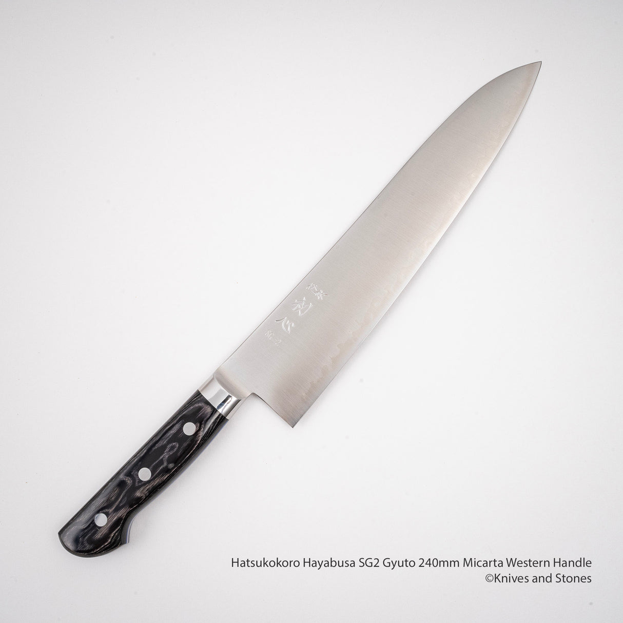 Hatsukokoro Hayabusa SG2 Gyuto 240mm 米卡塔西式手柄