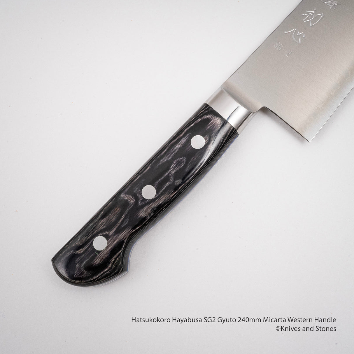 Hatsukokoro Hayabusa SG2 Gyuto 240mm 米卡塔西式手柄