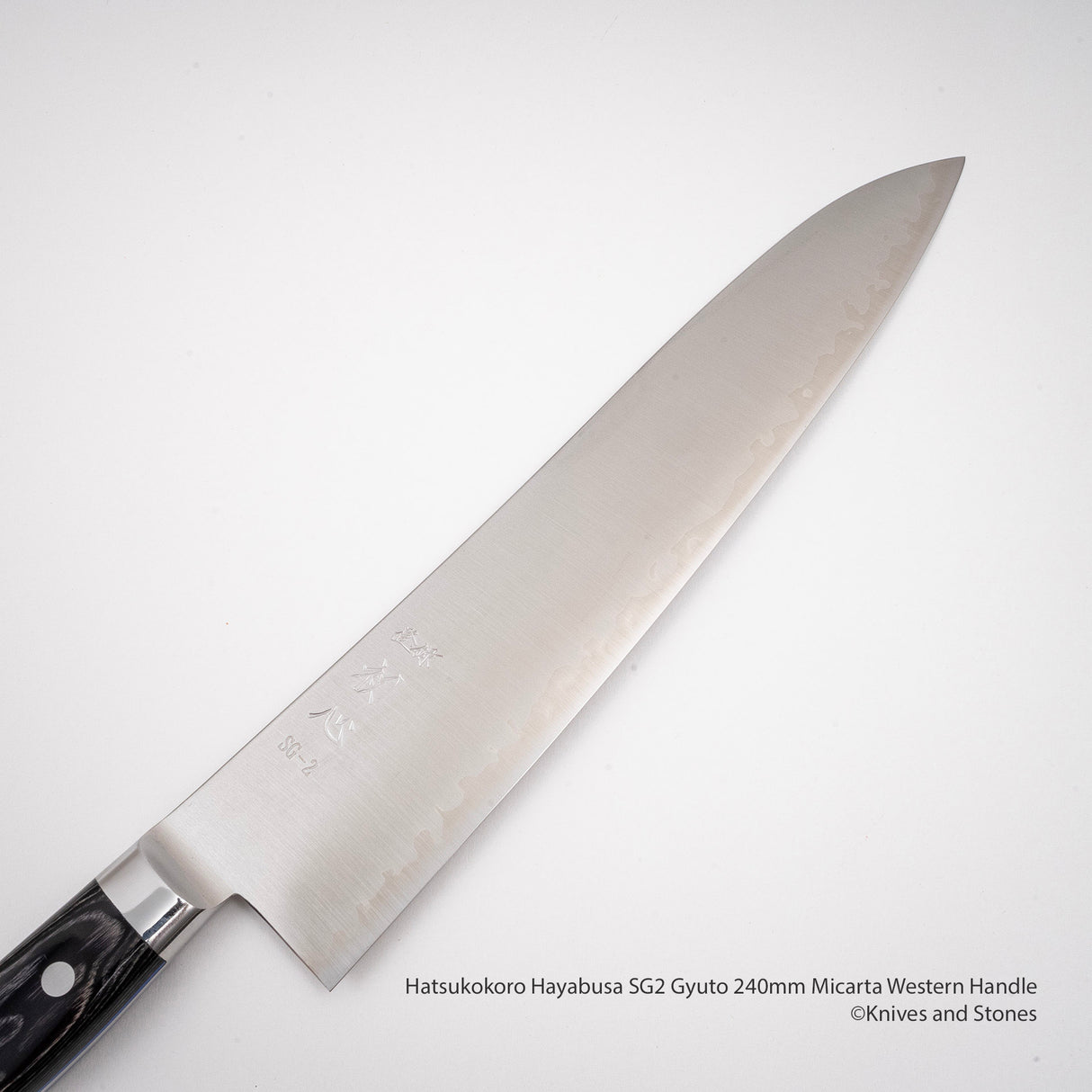 Hatsukokoro Hayabusa SG2 Gyuto 240mm 米卡塔西式手柄