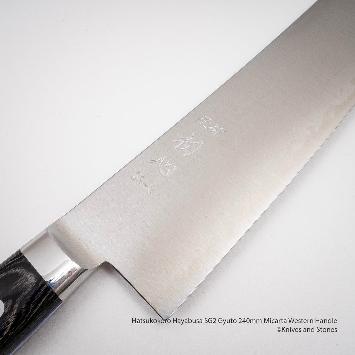 Hatsukokoro Hayabusa SG2 Gyuto 240mm 米卡塔西式手柄