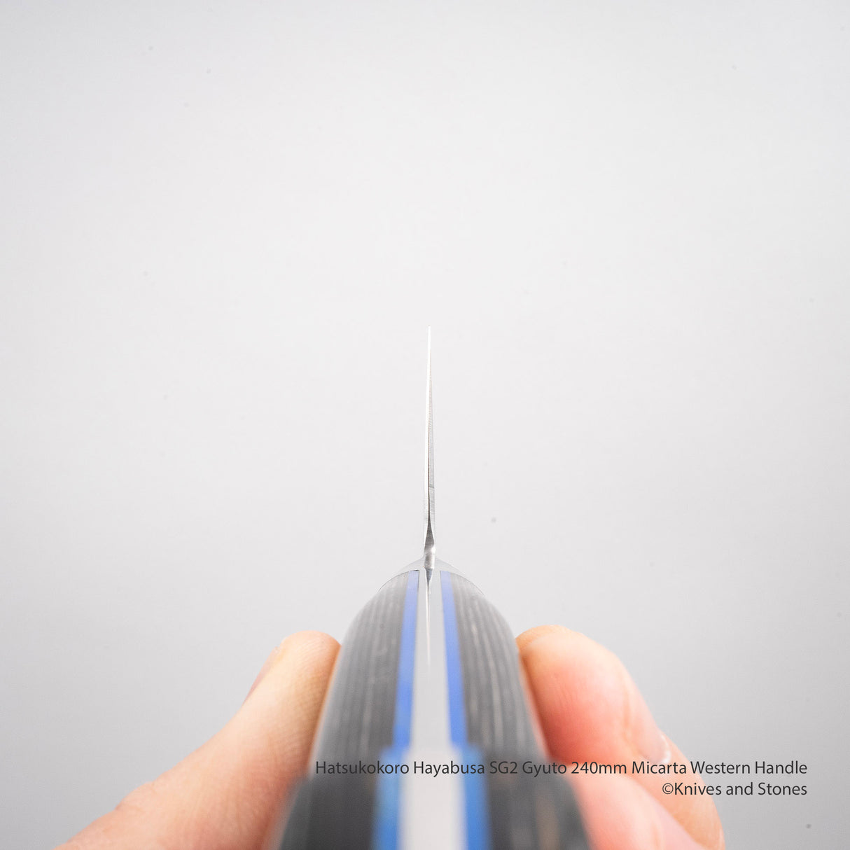 Hatsukokoro Hayabusa SG2 Gyuto 240mm 米卡塔西式手柄