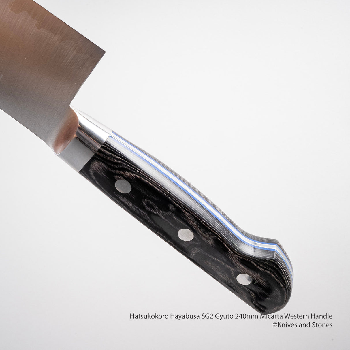 Hatsukokoro Hayabusa SG2 Gyuto 240mm 米卡塔西式手柄