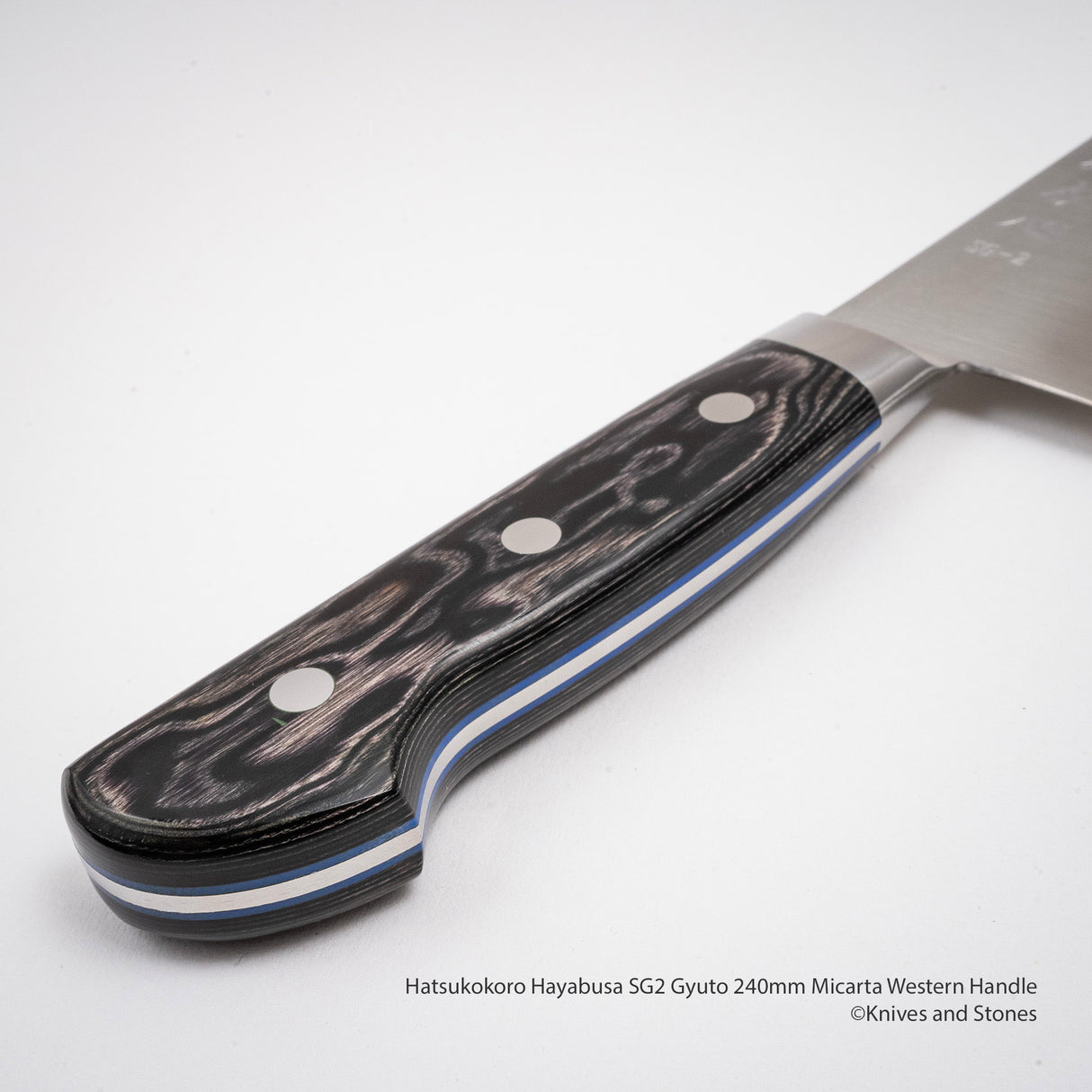 Hatsukokoro Hayabusa SG2 Gyuto 240mm 米卡塔西式手柄
