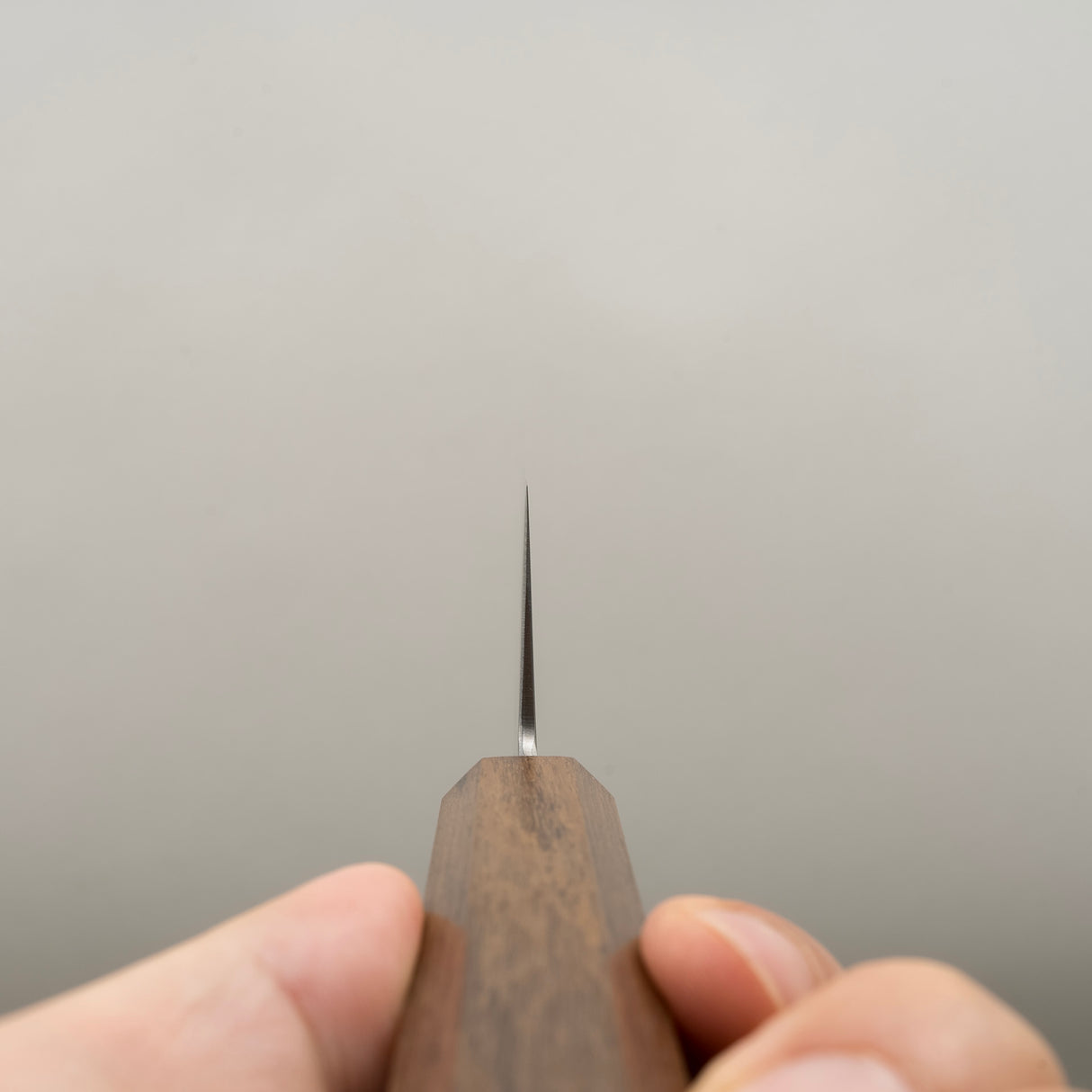 初心隼 SG2 Migaki Gyuto 210mm