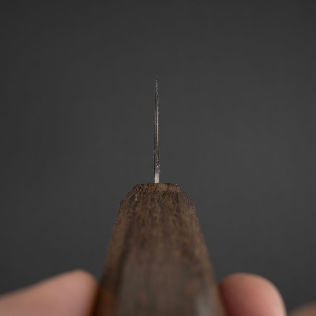 初心光 SLD Gyuto 195mm 黑色 Chacate