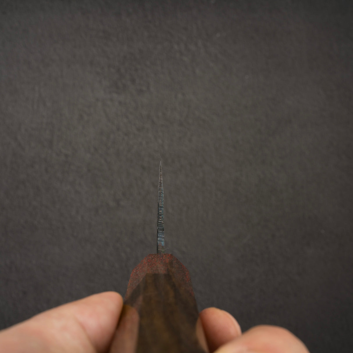 初心國藝 藍色 1 黑內牛斗 240mm