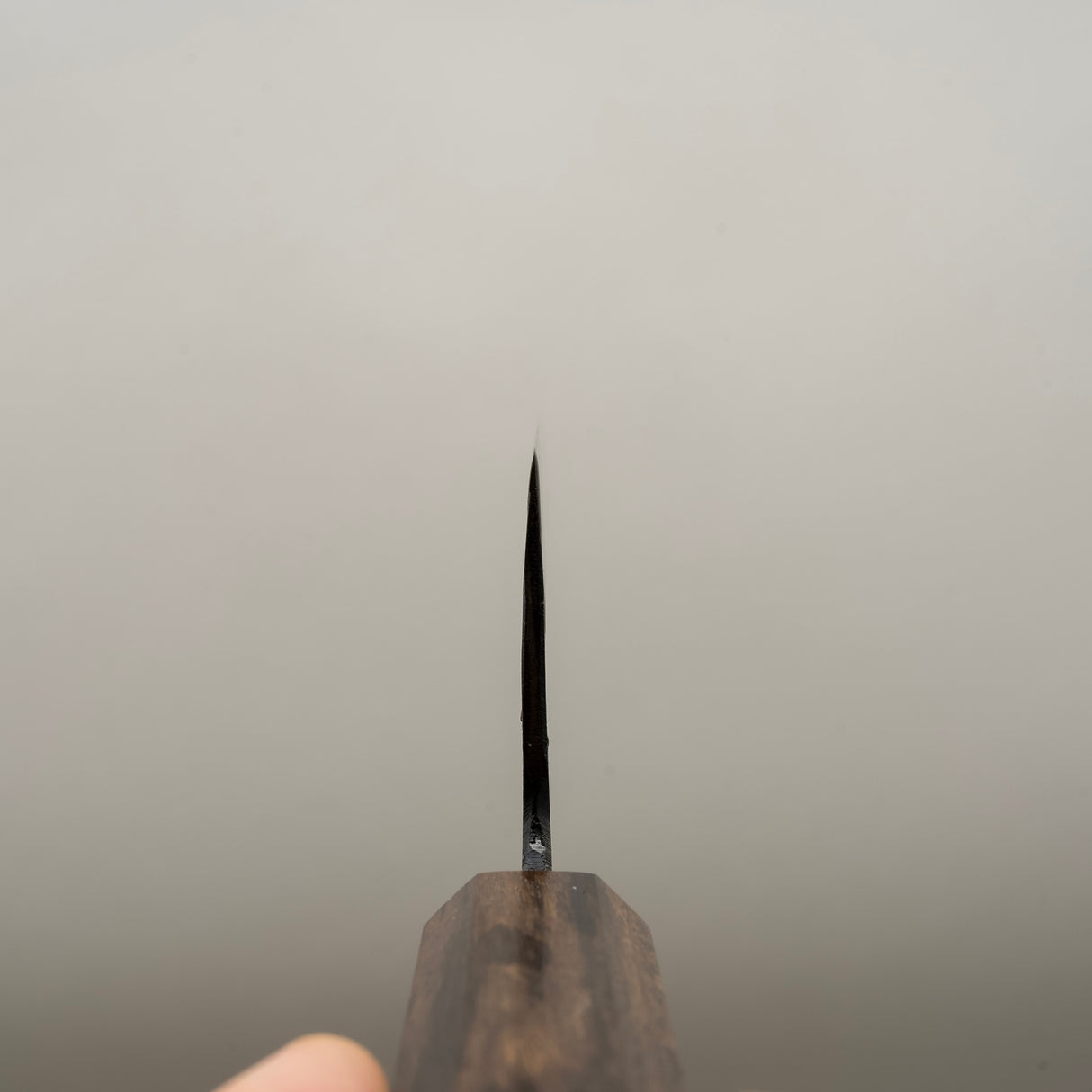 初心黑金藍 2 黑內三德 165mm 黑色 Chacate