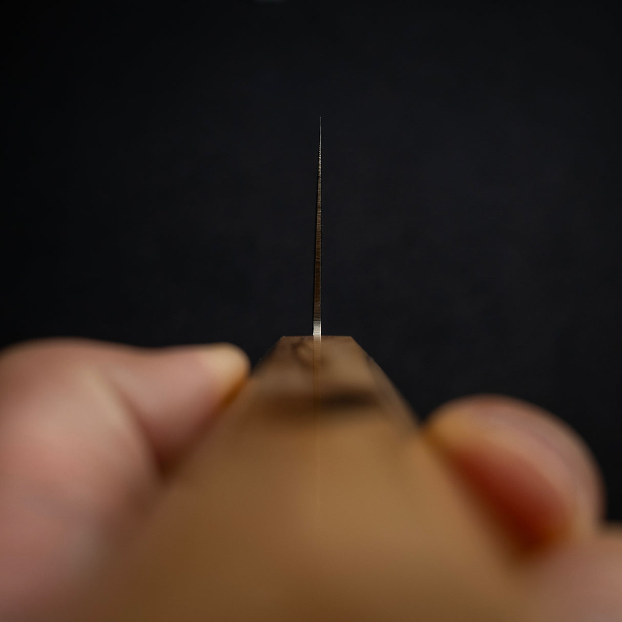 Hatsukokoro Ryuhyo SG2 Damascus Gyuto 240mm, Olivewood Handle