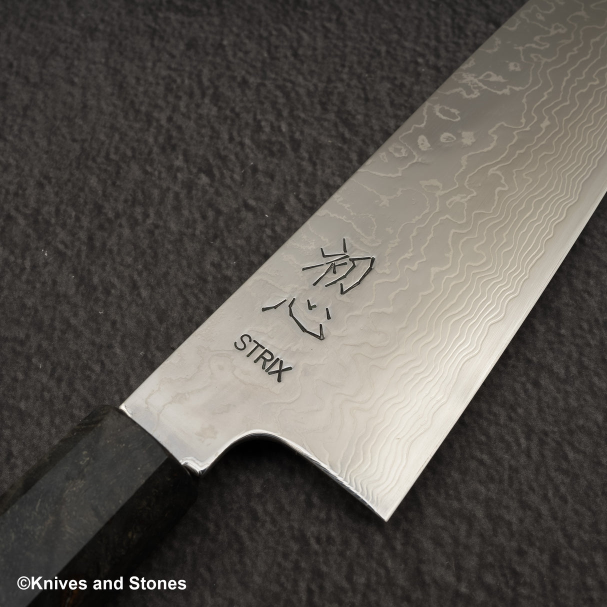 Hatsukokoro STRIX Damascus Gyuto 210mm 樺木手柄