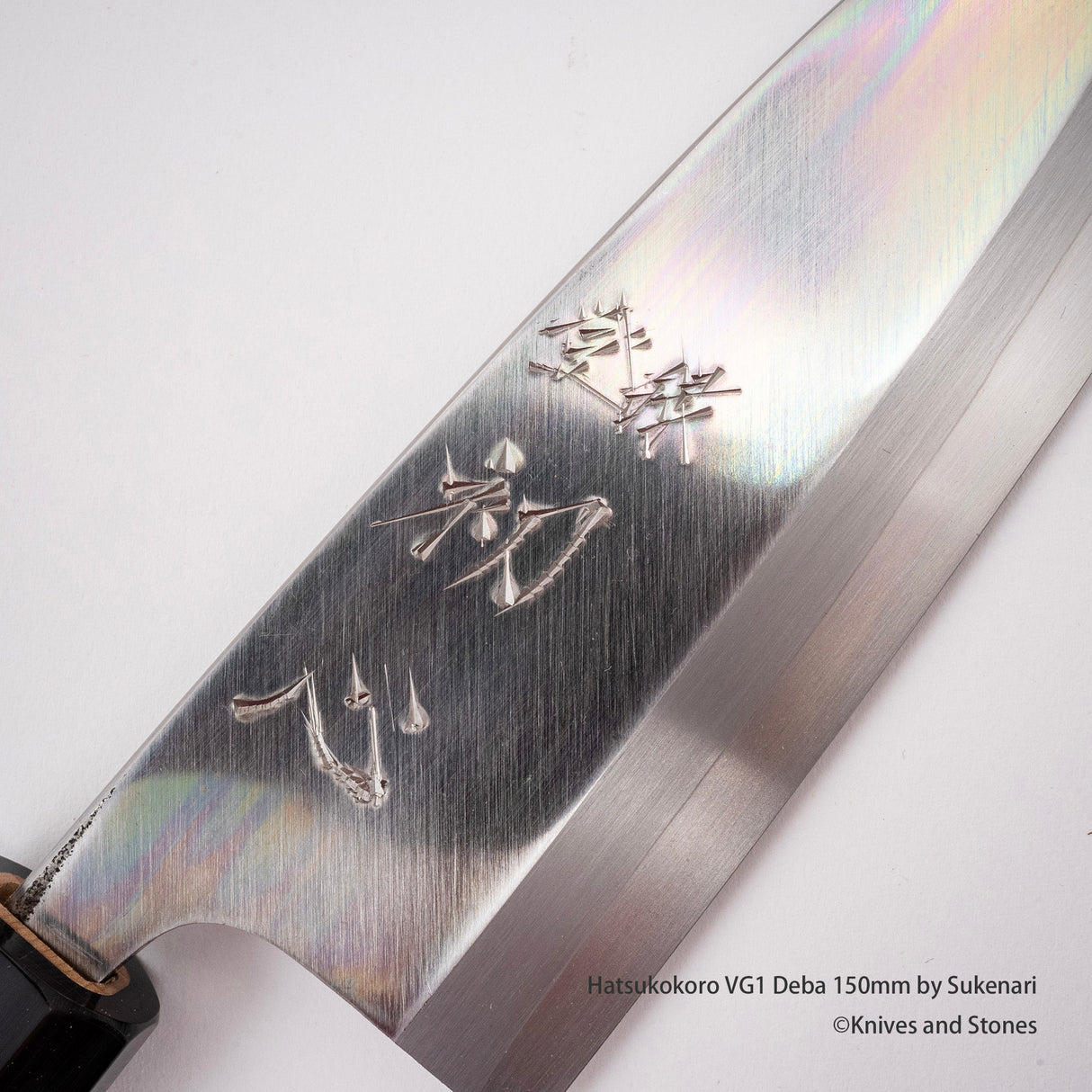 初心 VG1 Deba 150mm by Sukenari