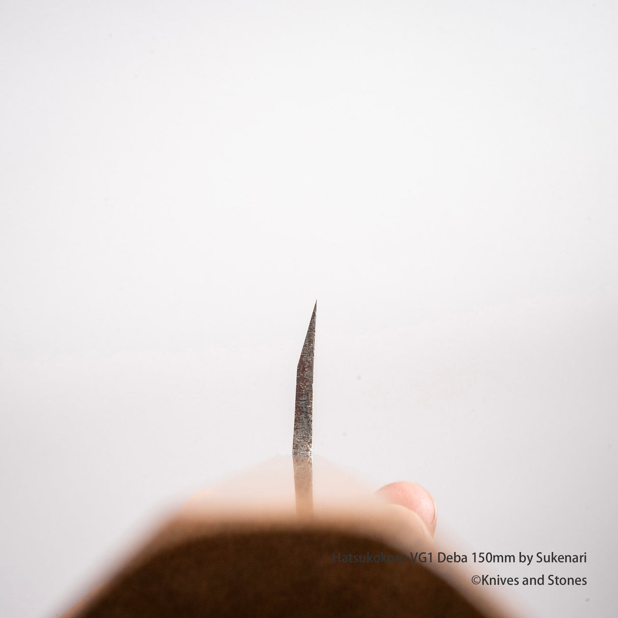 初心 VG1 Deba 150mm by Sukenari