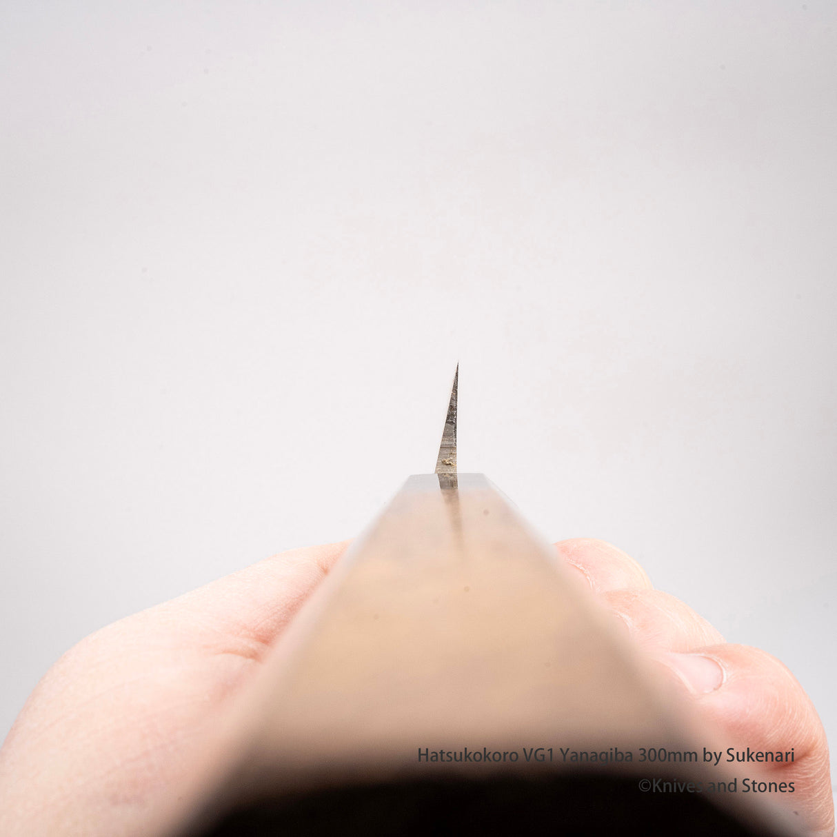 初心 VG1 柳葉 300mm by Sukenari