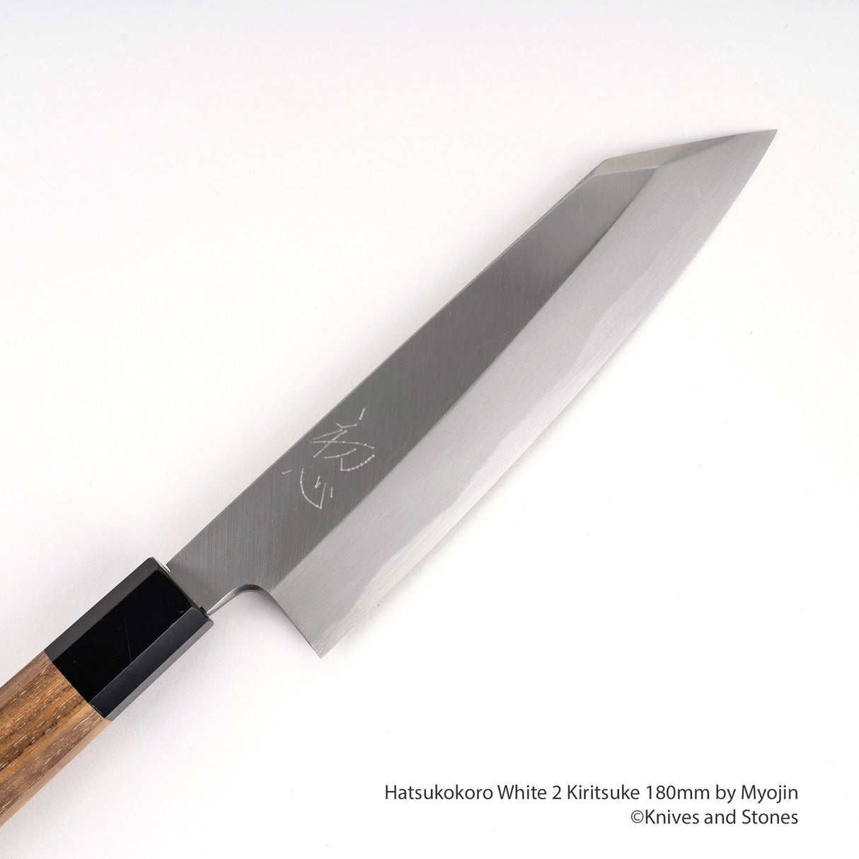 Myojin Shirasagi 白色 2 單斜面 K-Tip Gyuto 180/195/210/240 毫米