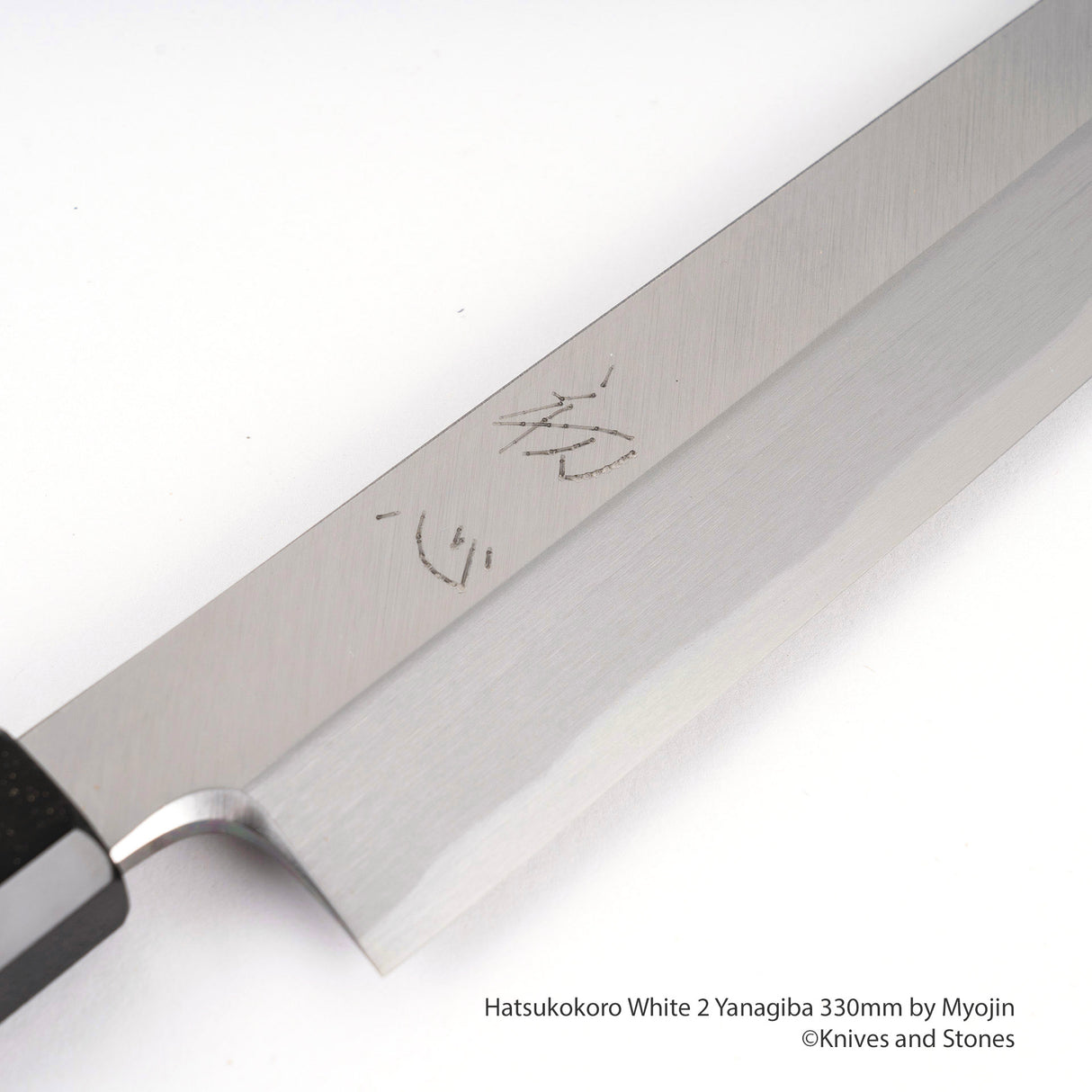 明神白鷺白 2 柳葉 300/330 mm