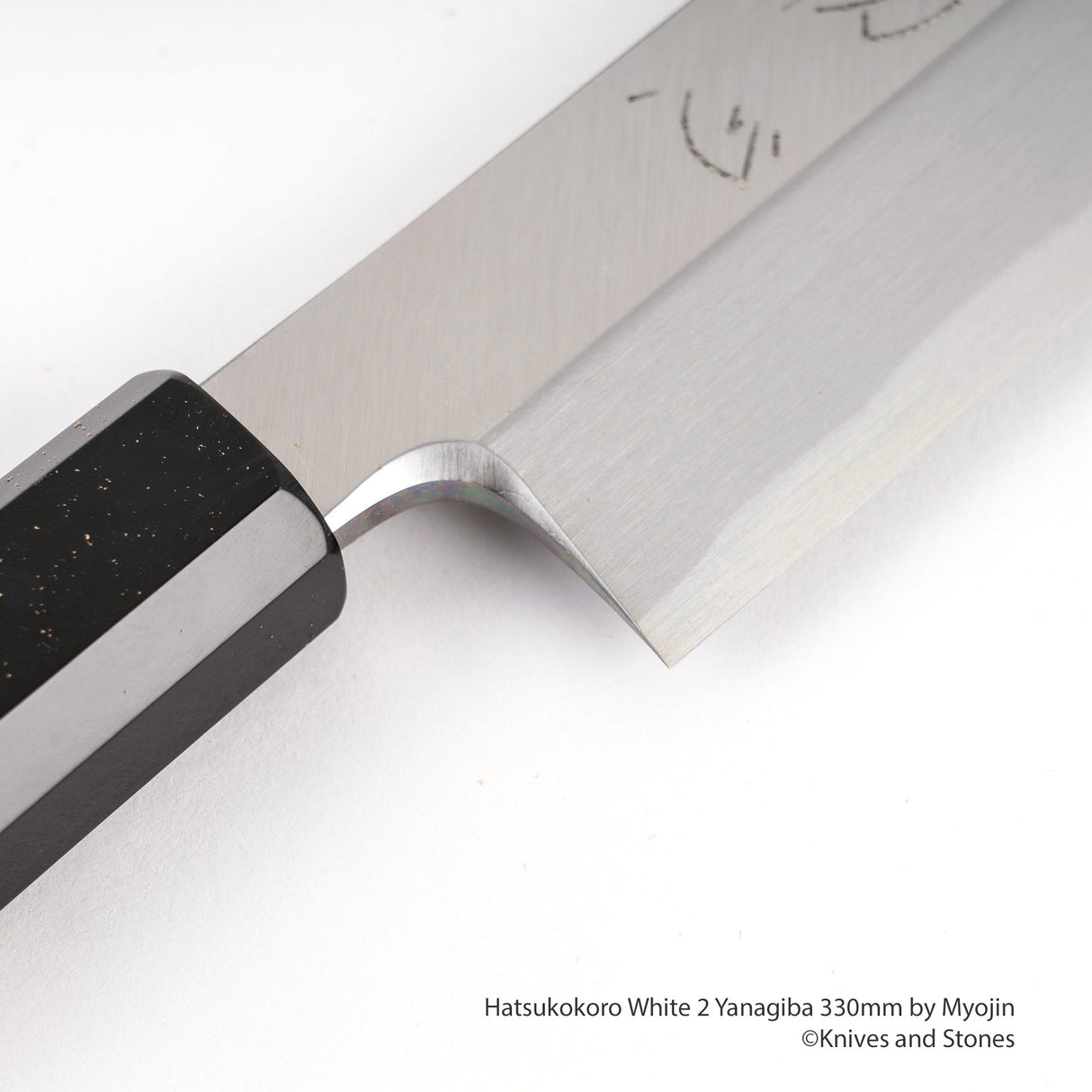 明神白鷺白 2 柳葉 300/330 mm