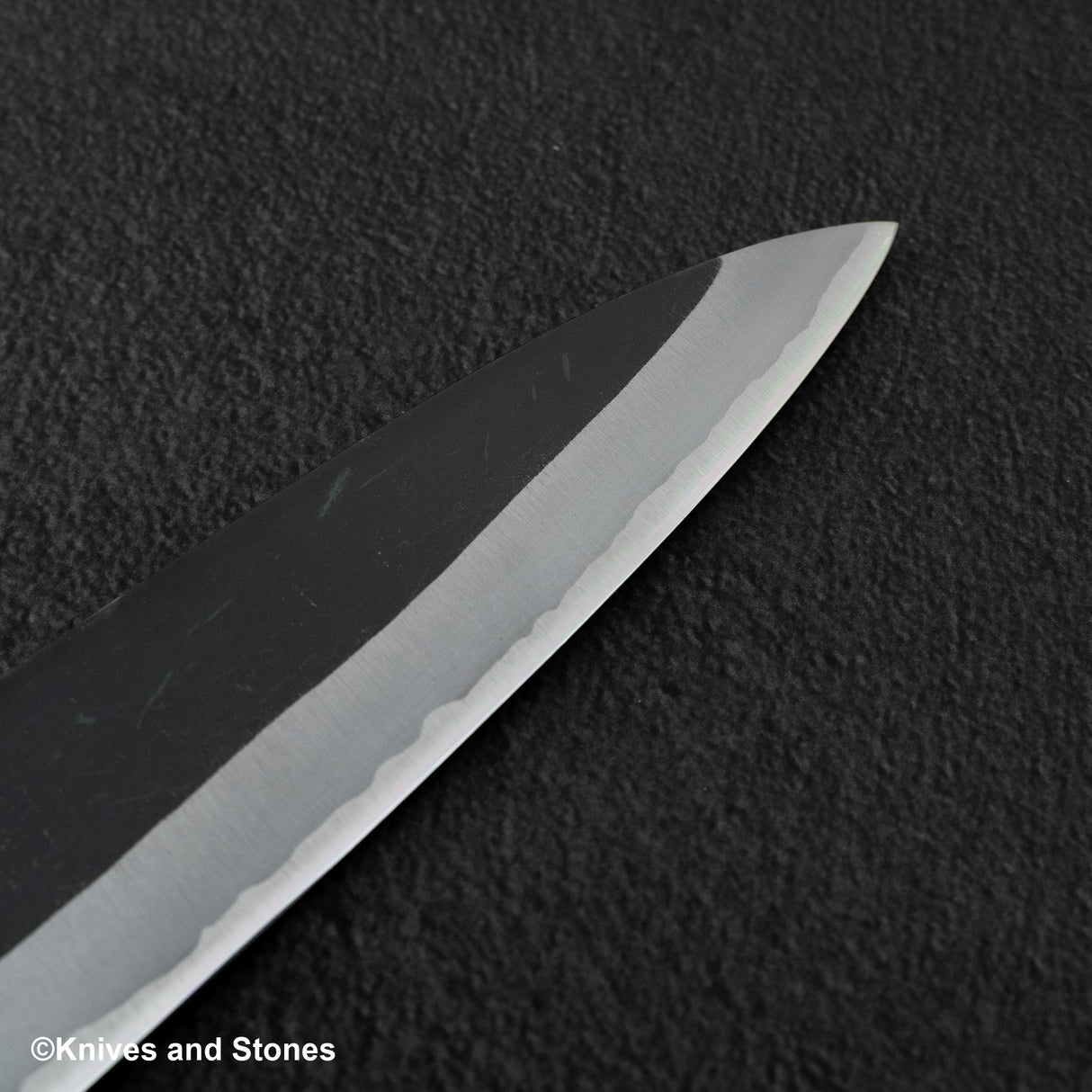 初心青鷺 藍色 2 黑內牛斗 240mm 黑色 Chacate