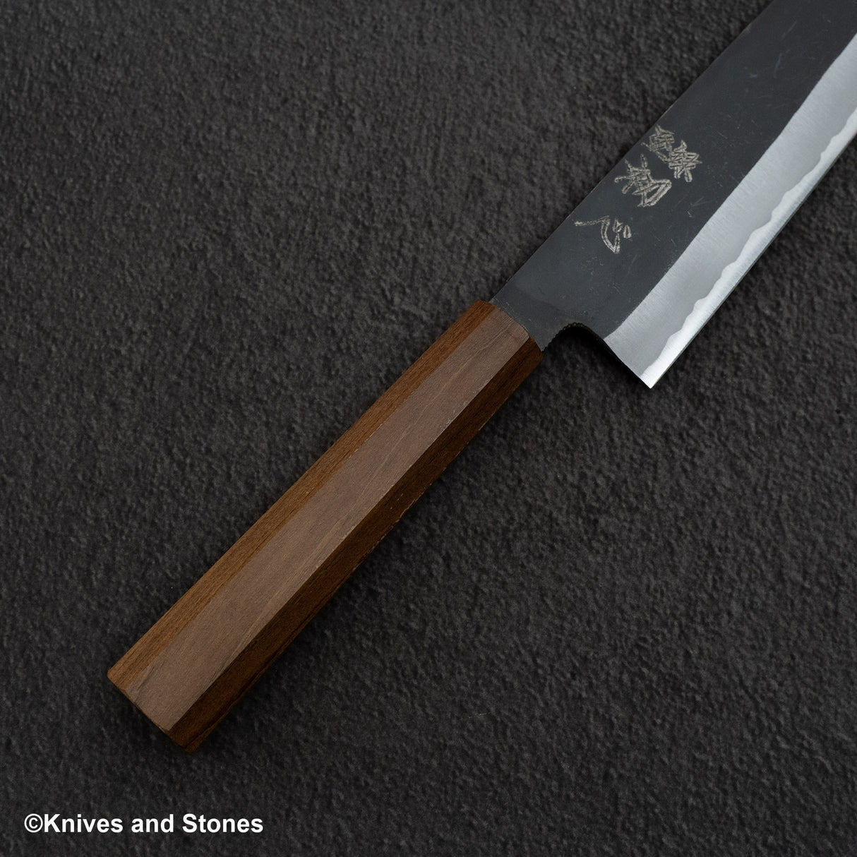 初心青鷺 藍色 2 黑內牛斗 240mm 黑色 Chacate