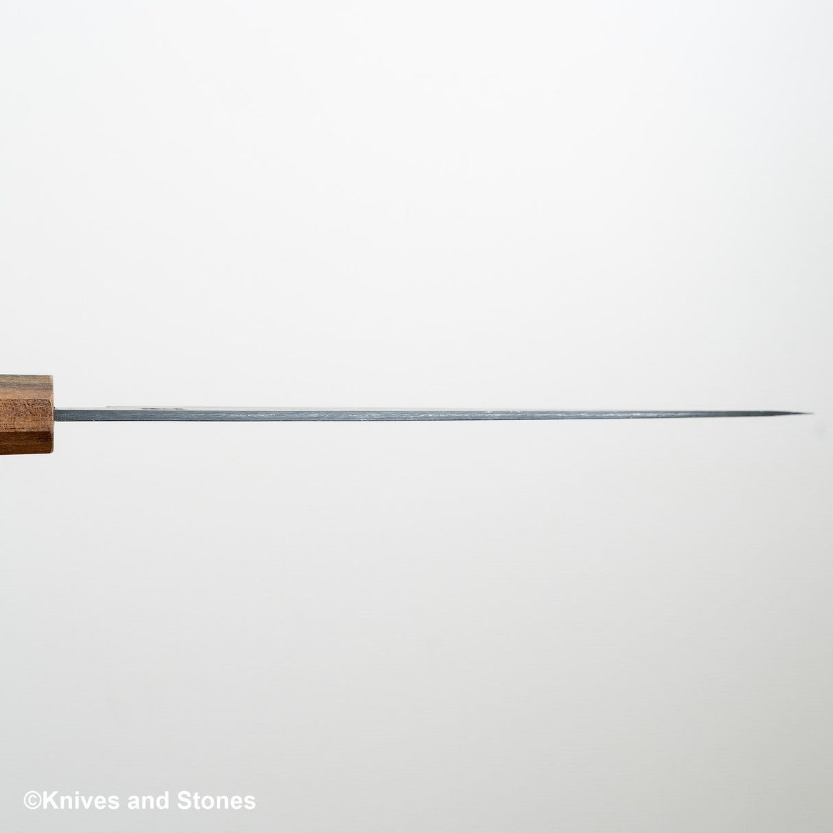 初心青鷺 藍色 2 黑內牛斗 240mm 黑色 Chacate